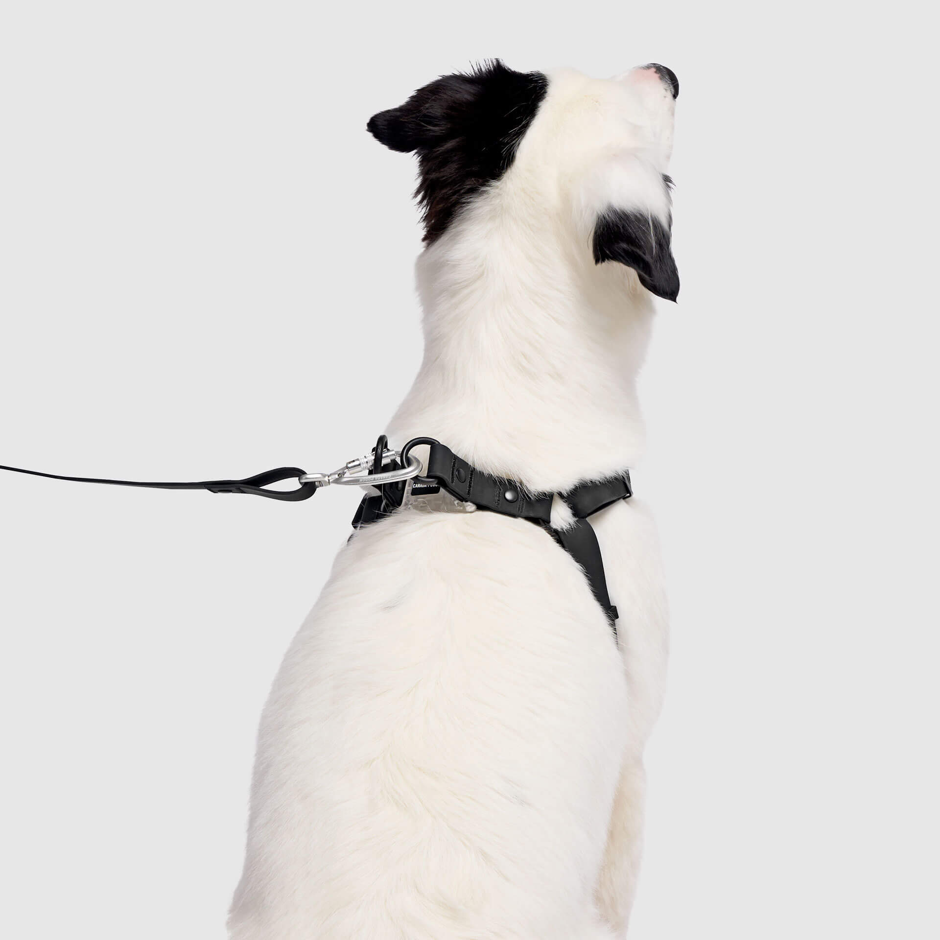 Waterproof Harness - 3AXD