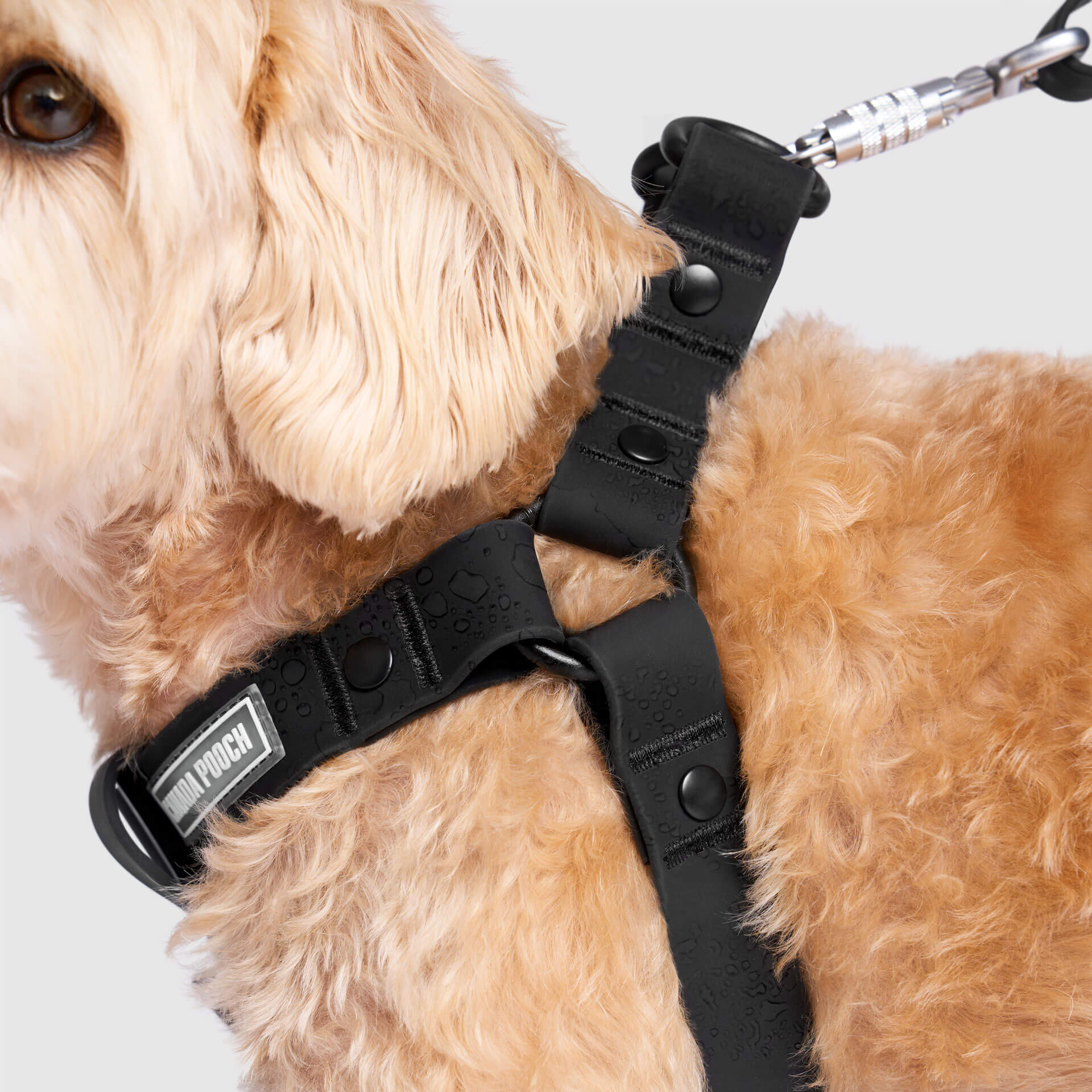 Waterproof Harness - 3AXD