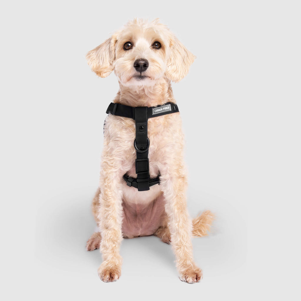 Waterproof Harness - 3AXD