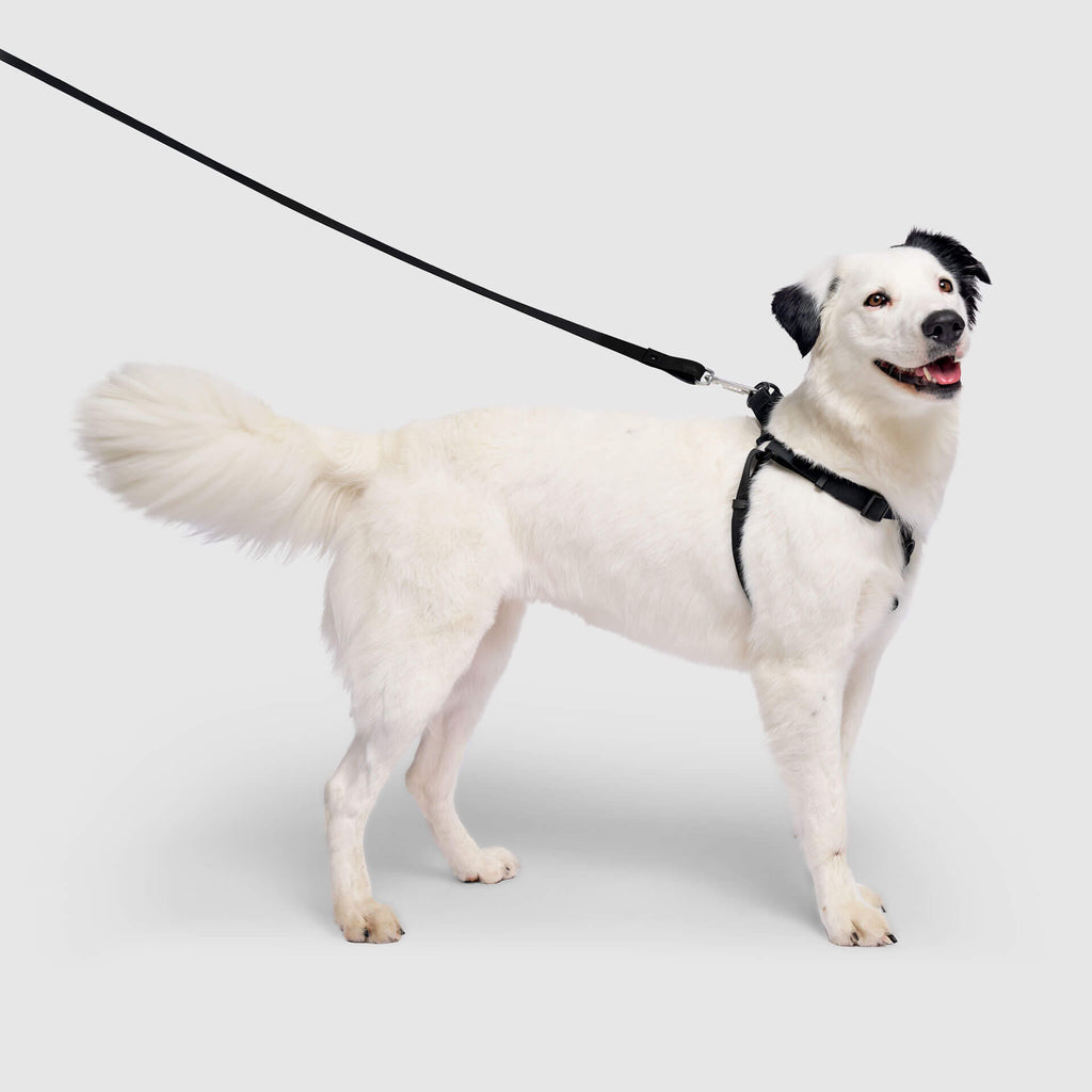 Waterproof Harness - 3AXD