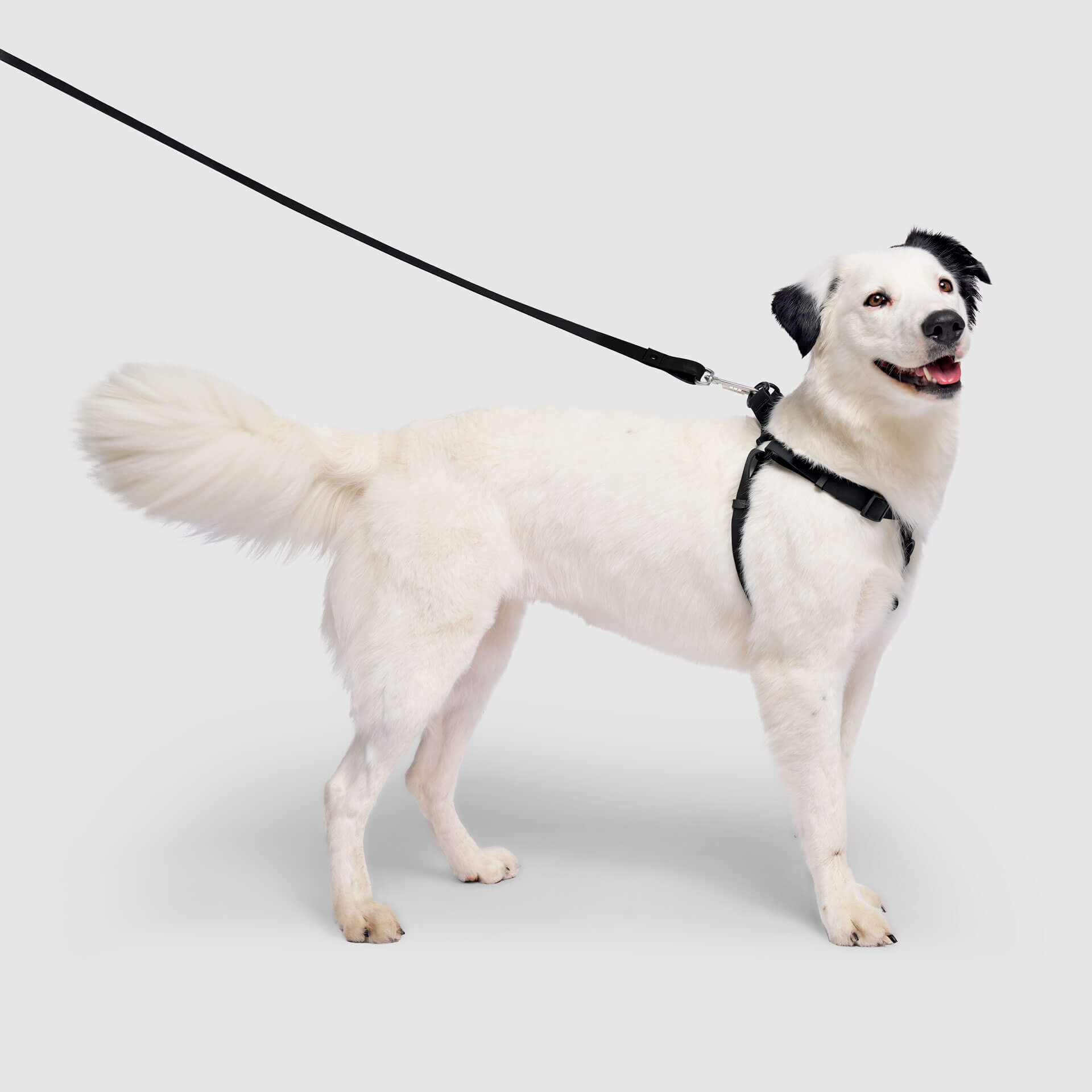 Waterproof Harness - 3AXD