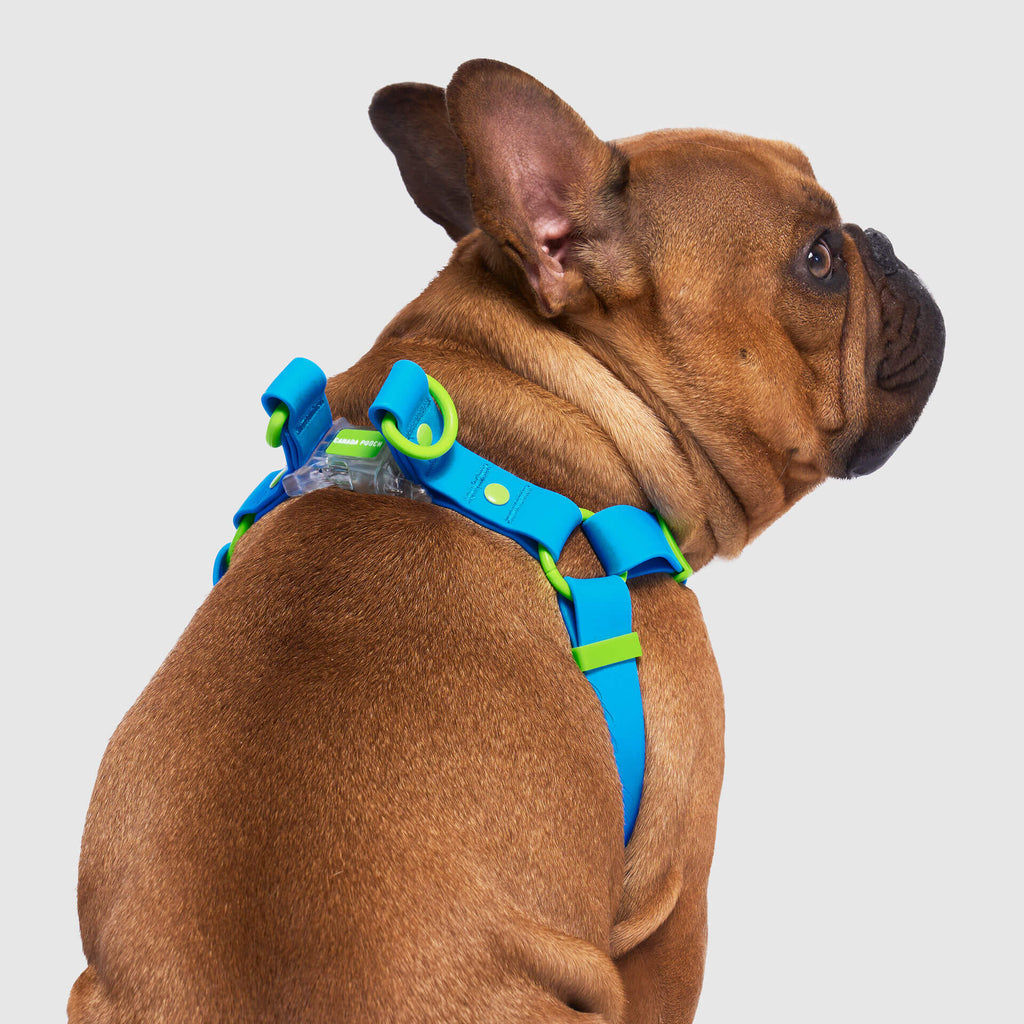Waterproof Harness - 3AXD