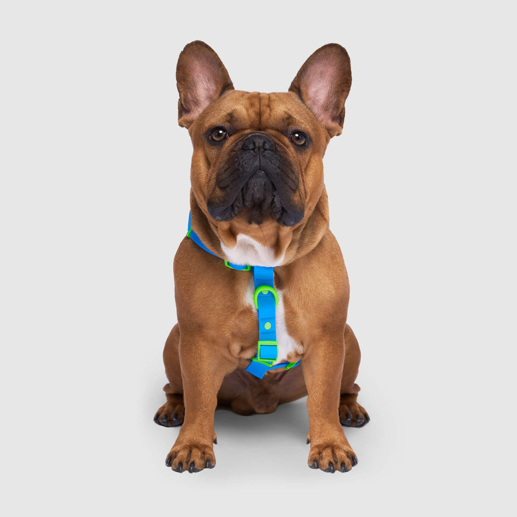 Waterproof Harness - 3AXD