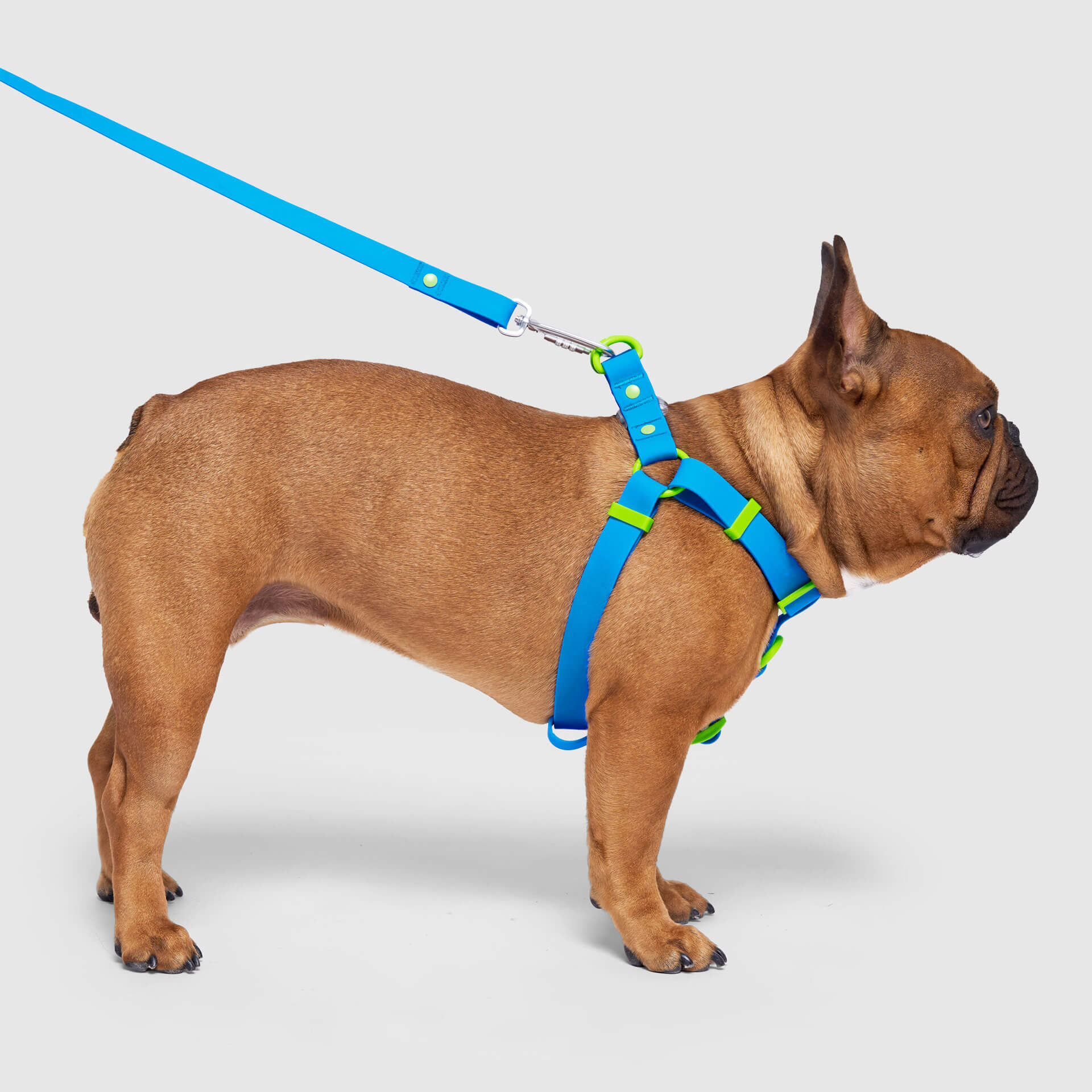 Waterproof Harness - 3AXD