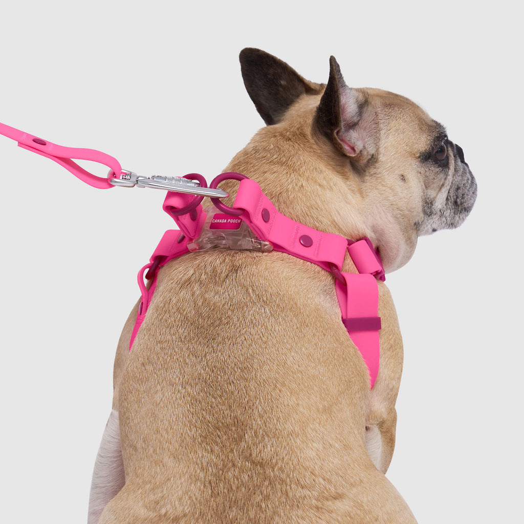 Waterproof Harness - 3AXD