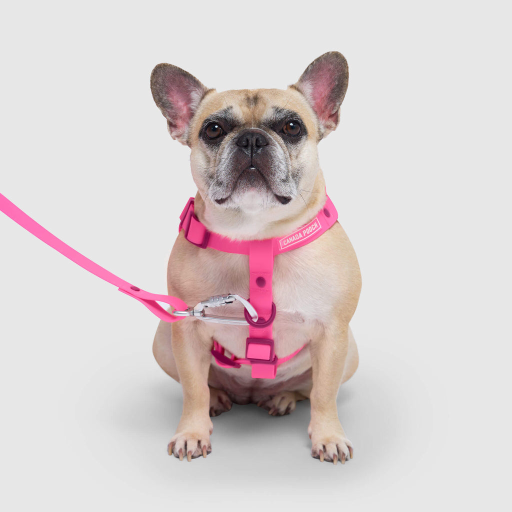Waterproof Harness - 3AXD