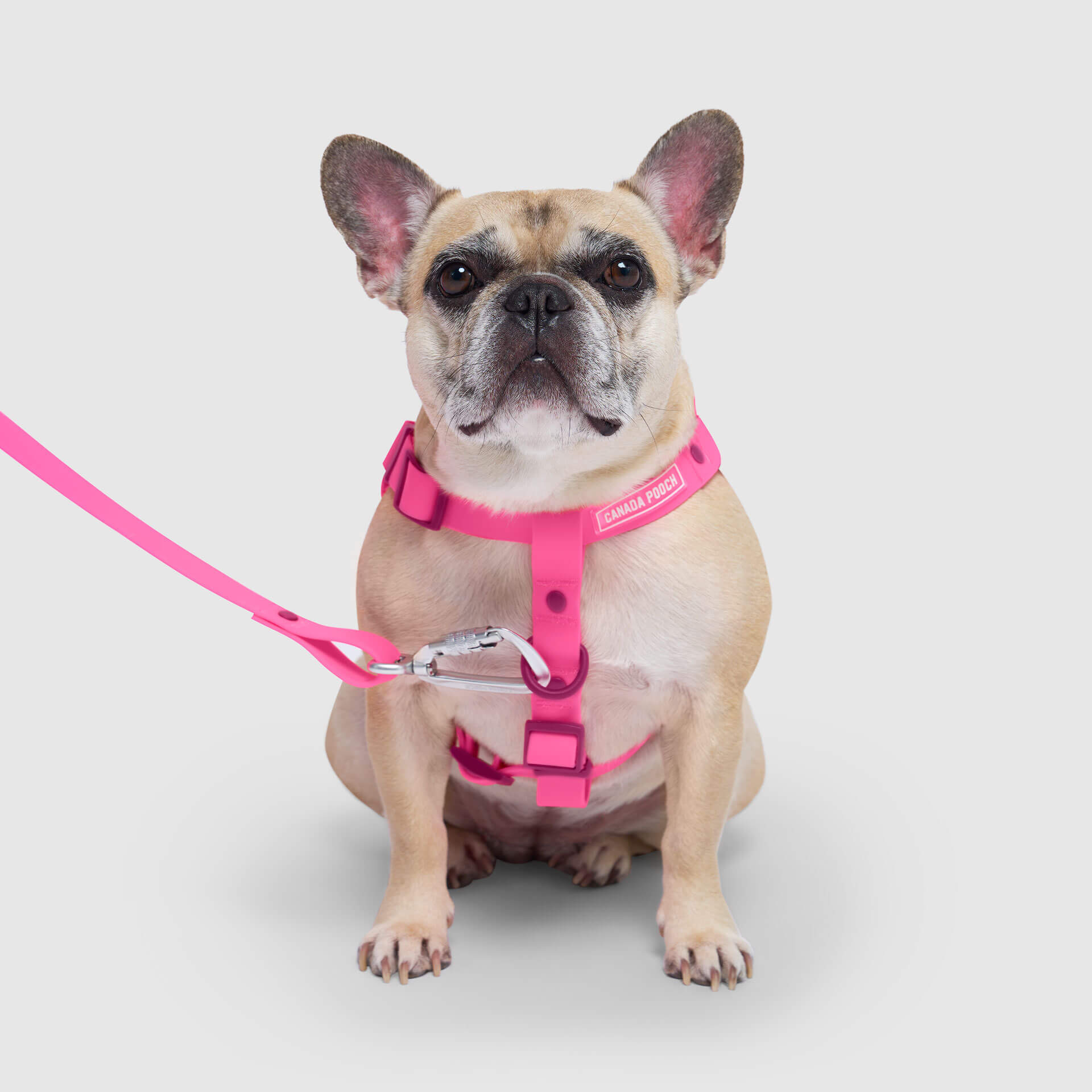 Waterproof Harness - 3AXD