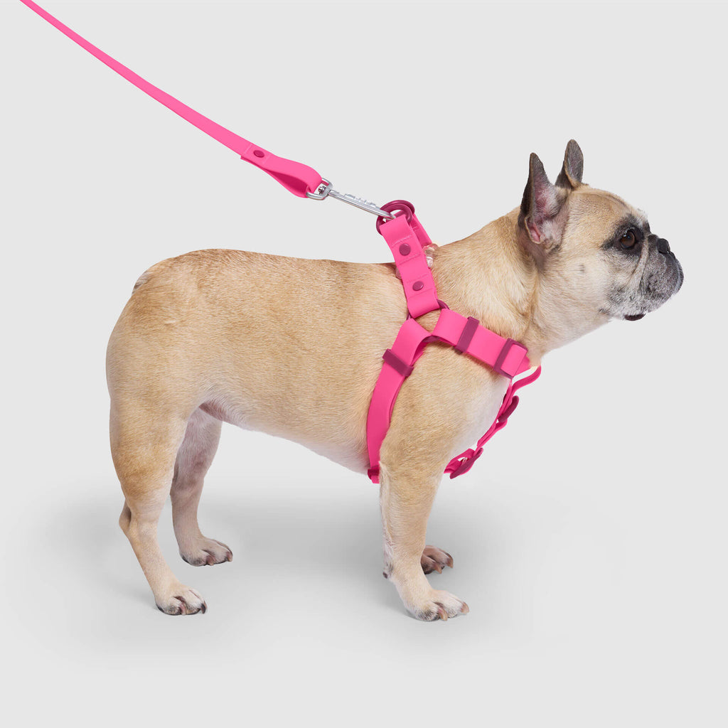 Waterproof Harness - 3AXD