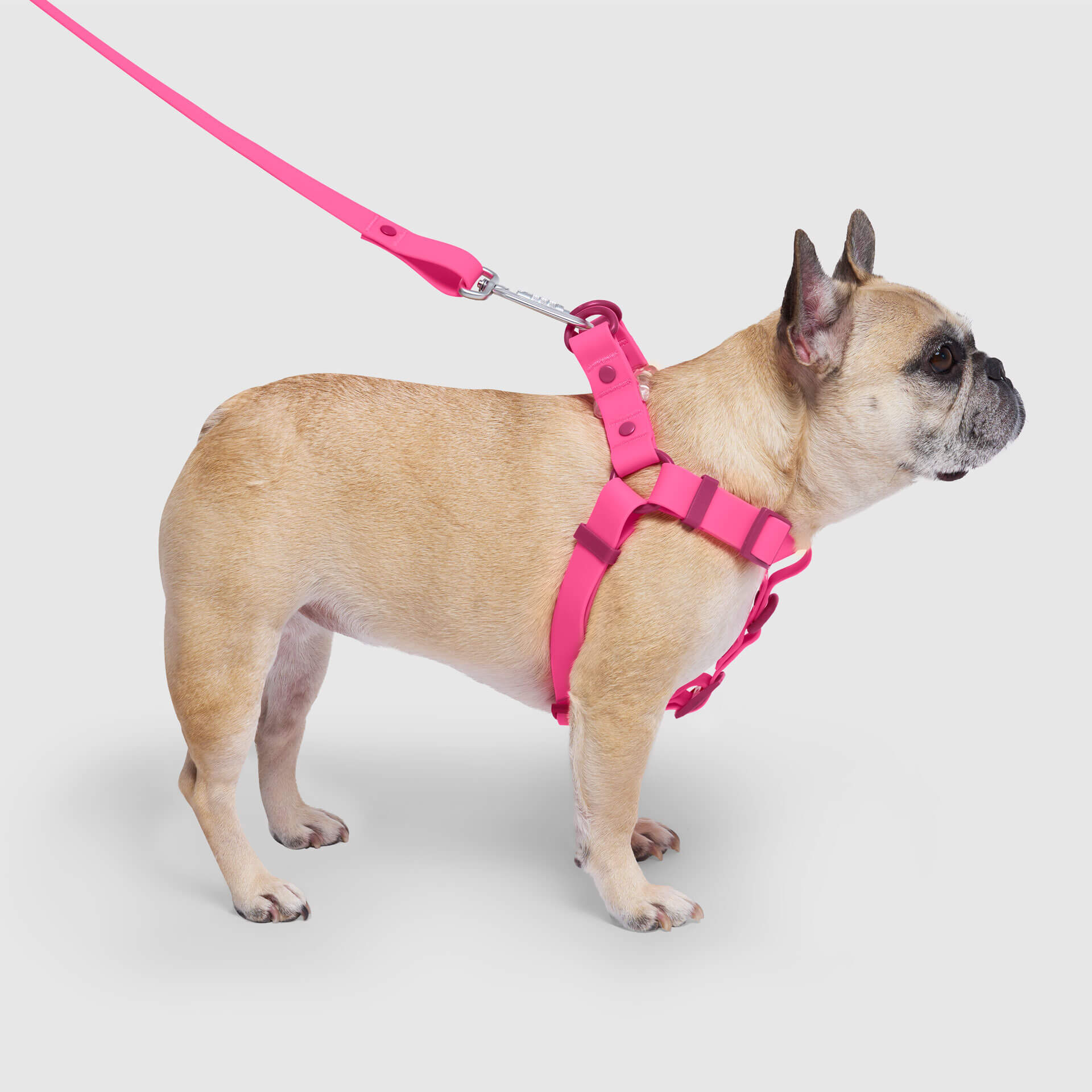 Waterproof Harness - 3AXD