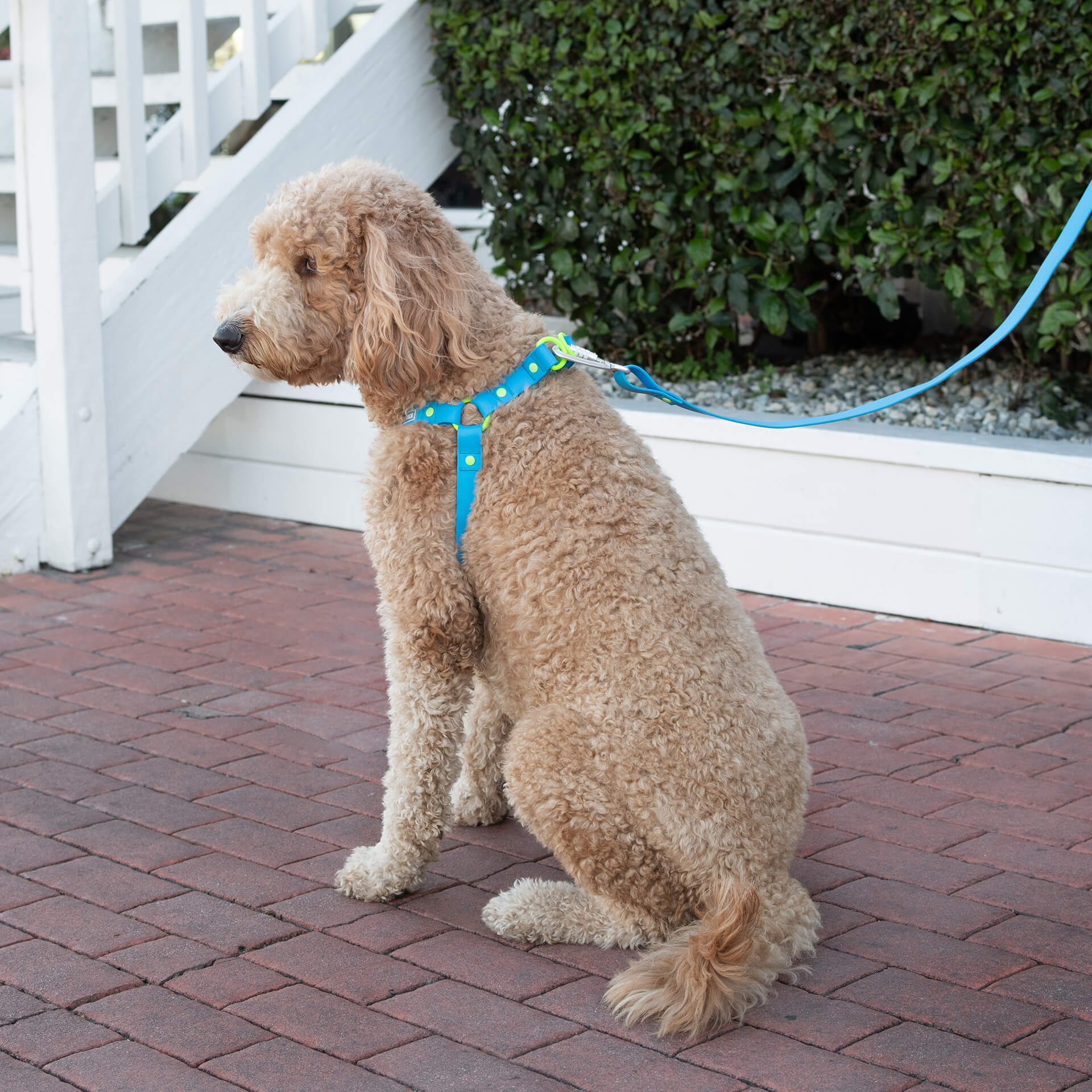 Waterproof Harness - 3AXD