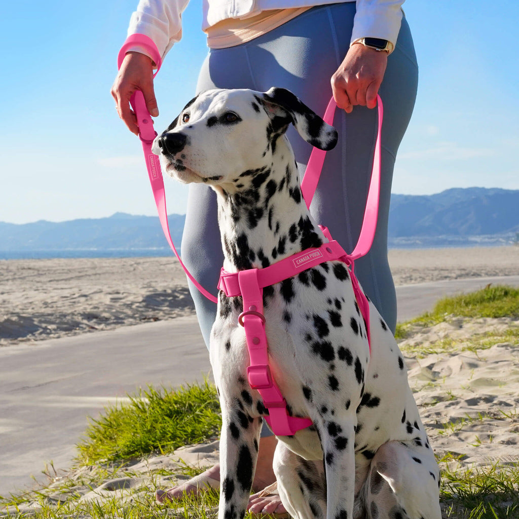 Waterproof Harness - 3AXD