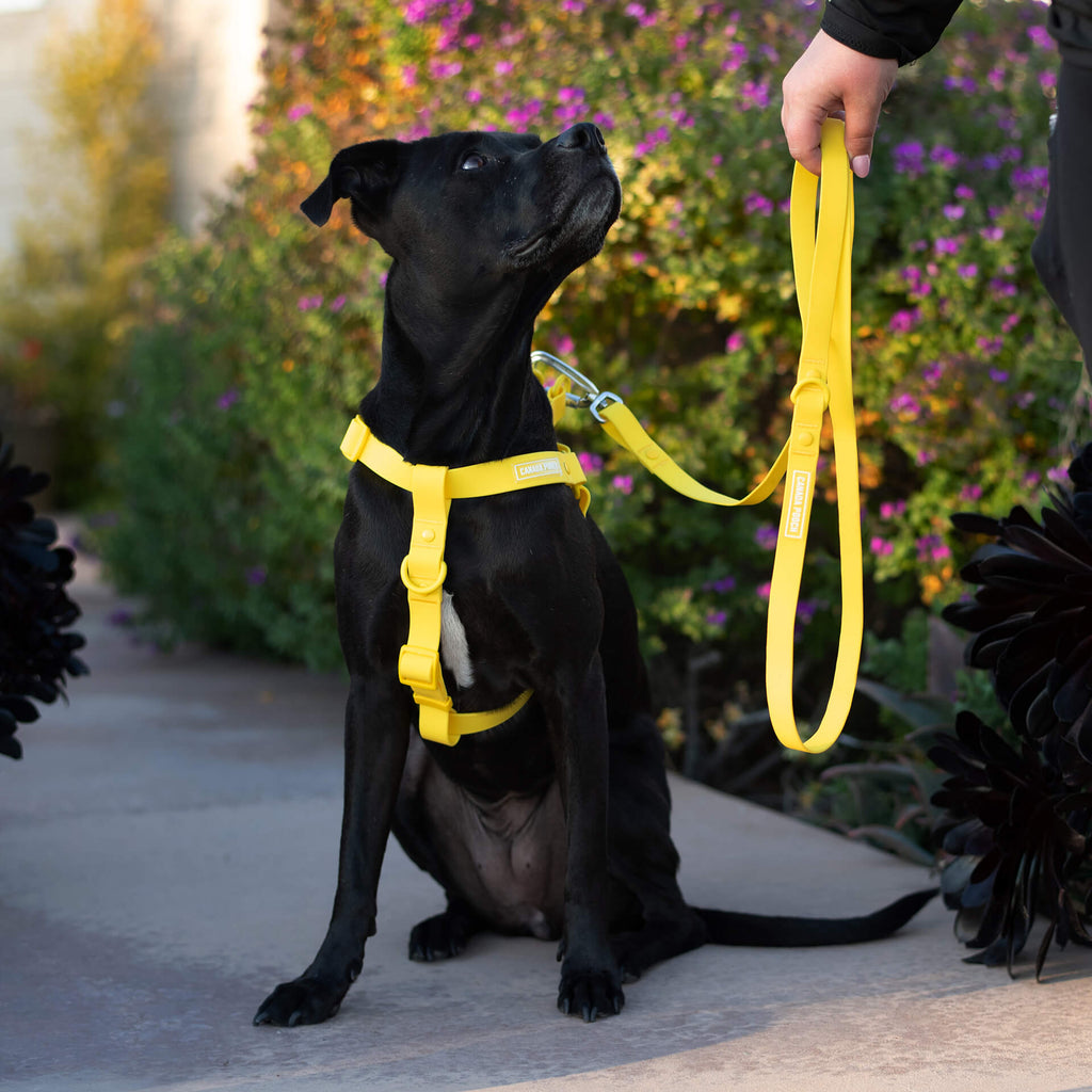 Waterproof Harness - 3AXD