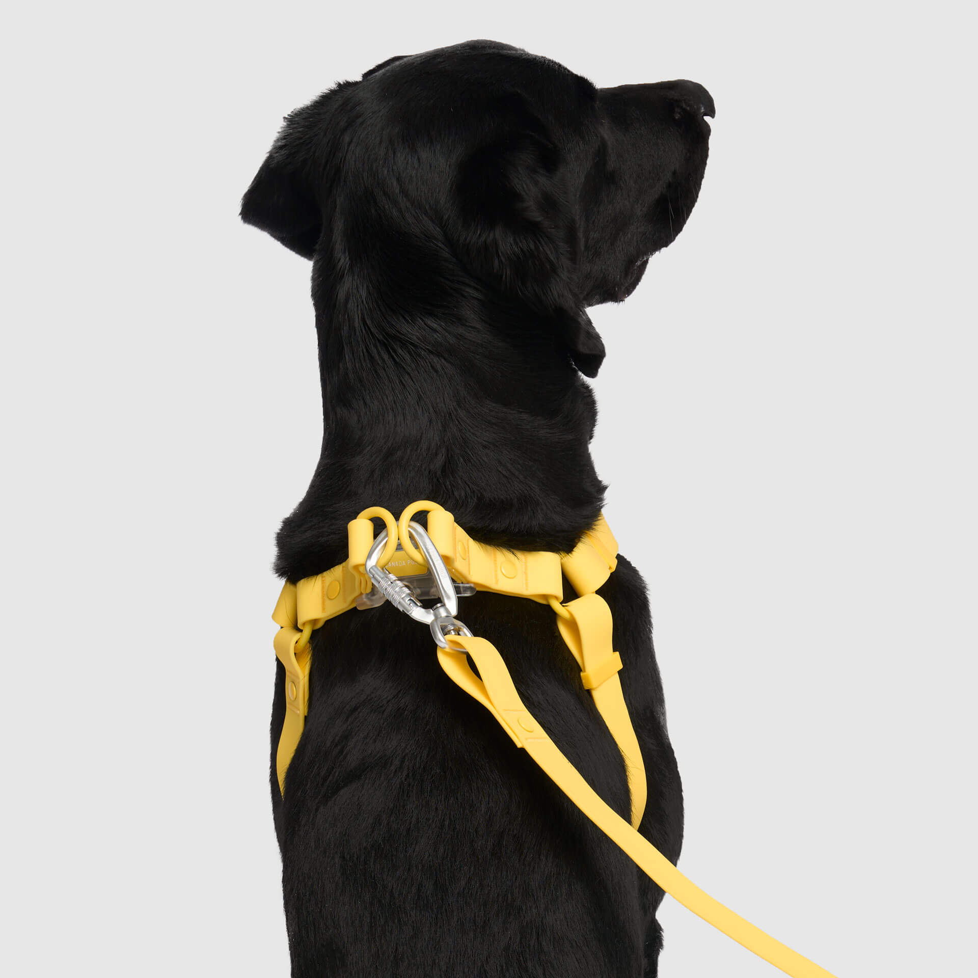 Waterproof Harness - 3AXD