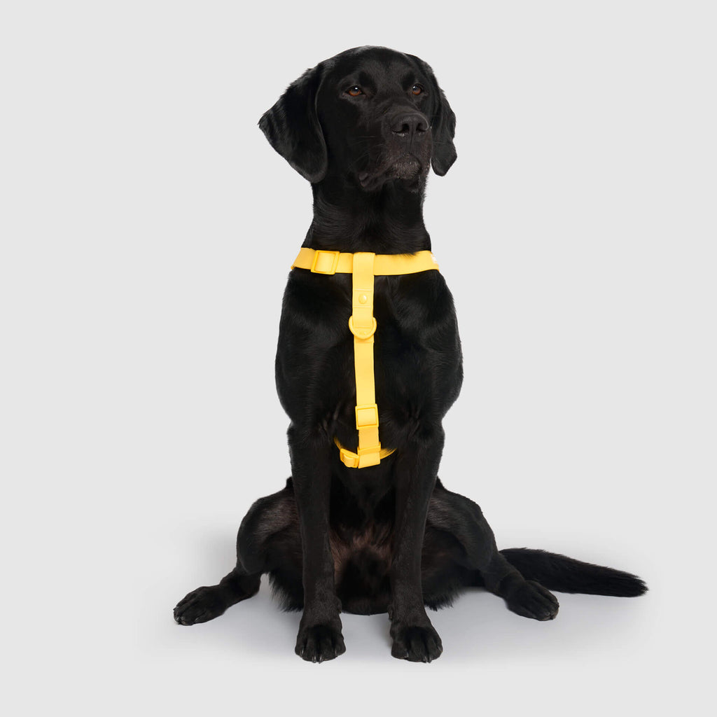 Waterproof Harness - 3AXD