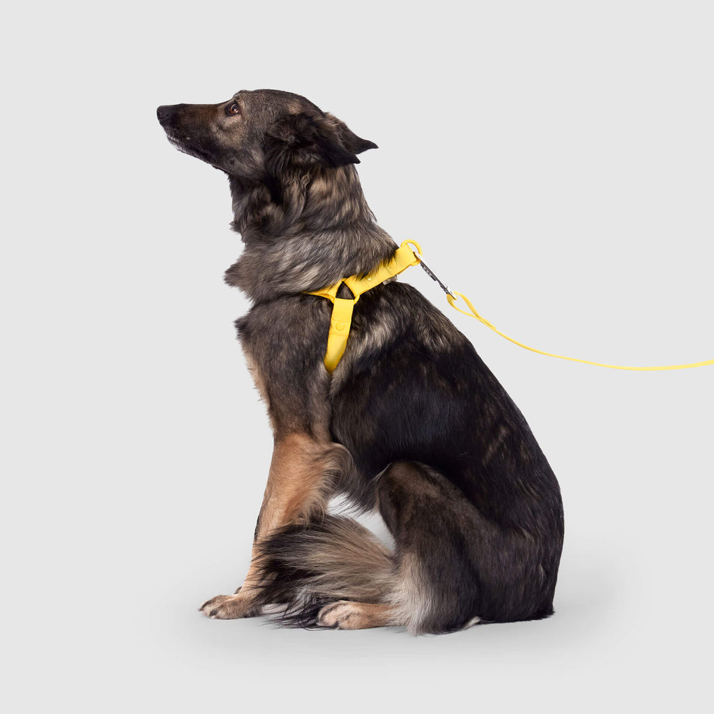 Waterproof Harness - 3AXD