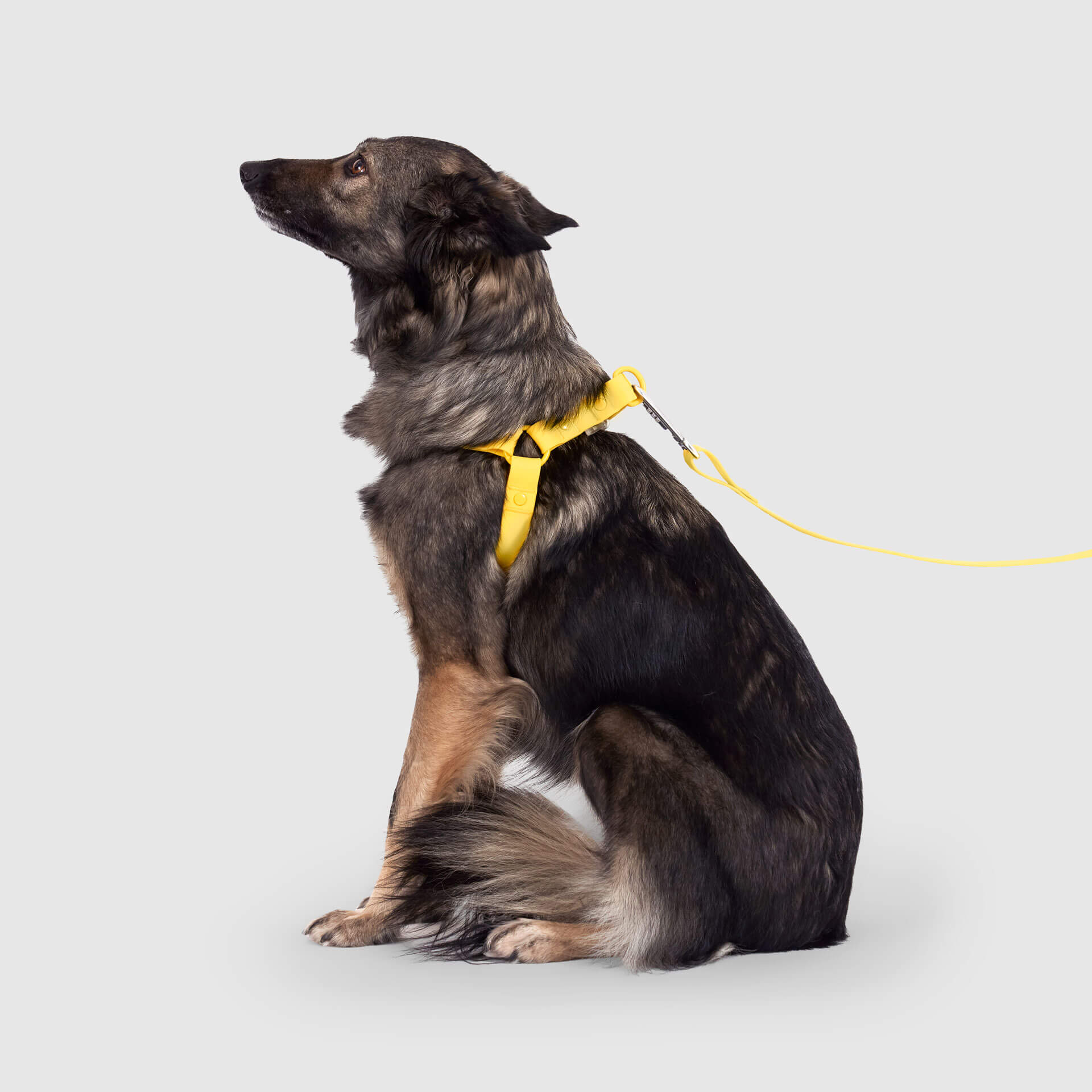 Waterproof Harness - 3AXD