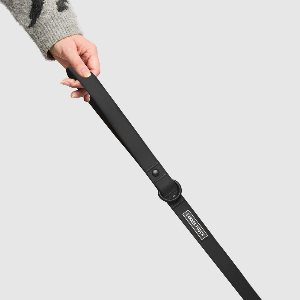 Waterproof Leash - ESFA