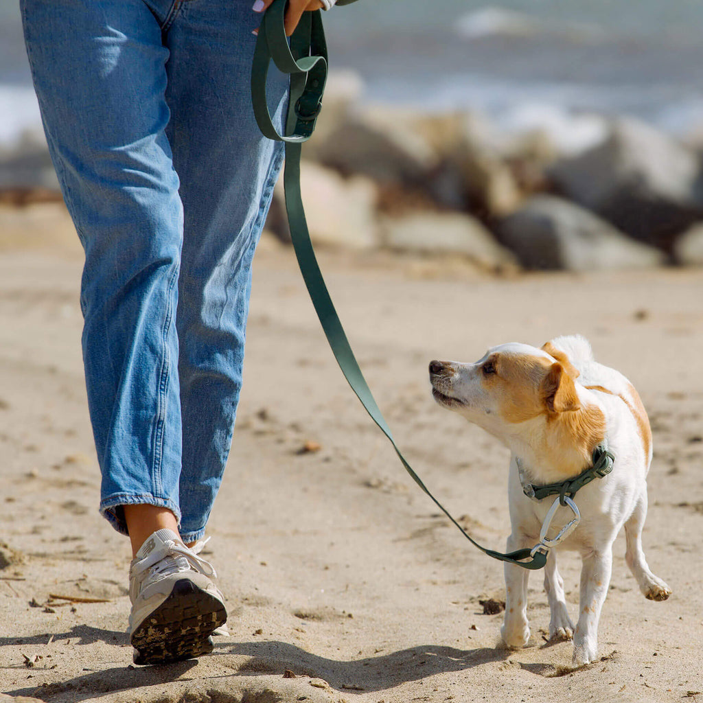 Waterproof Leash - ESFA