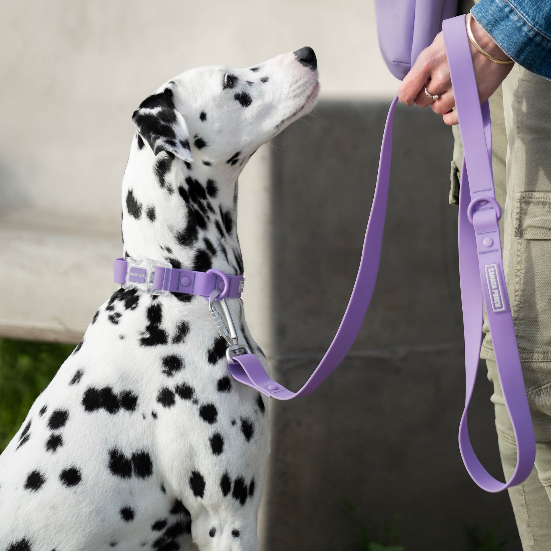 Waterproof Leash - ESFA