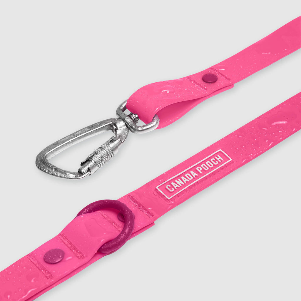 Waterproof Leash - ESFA