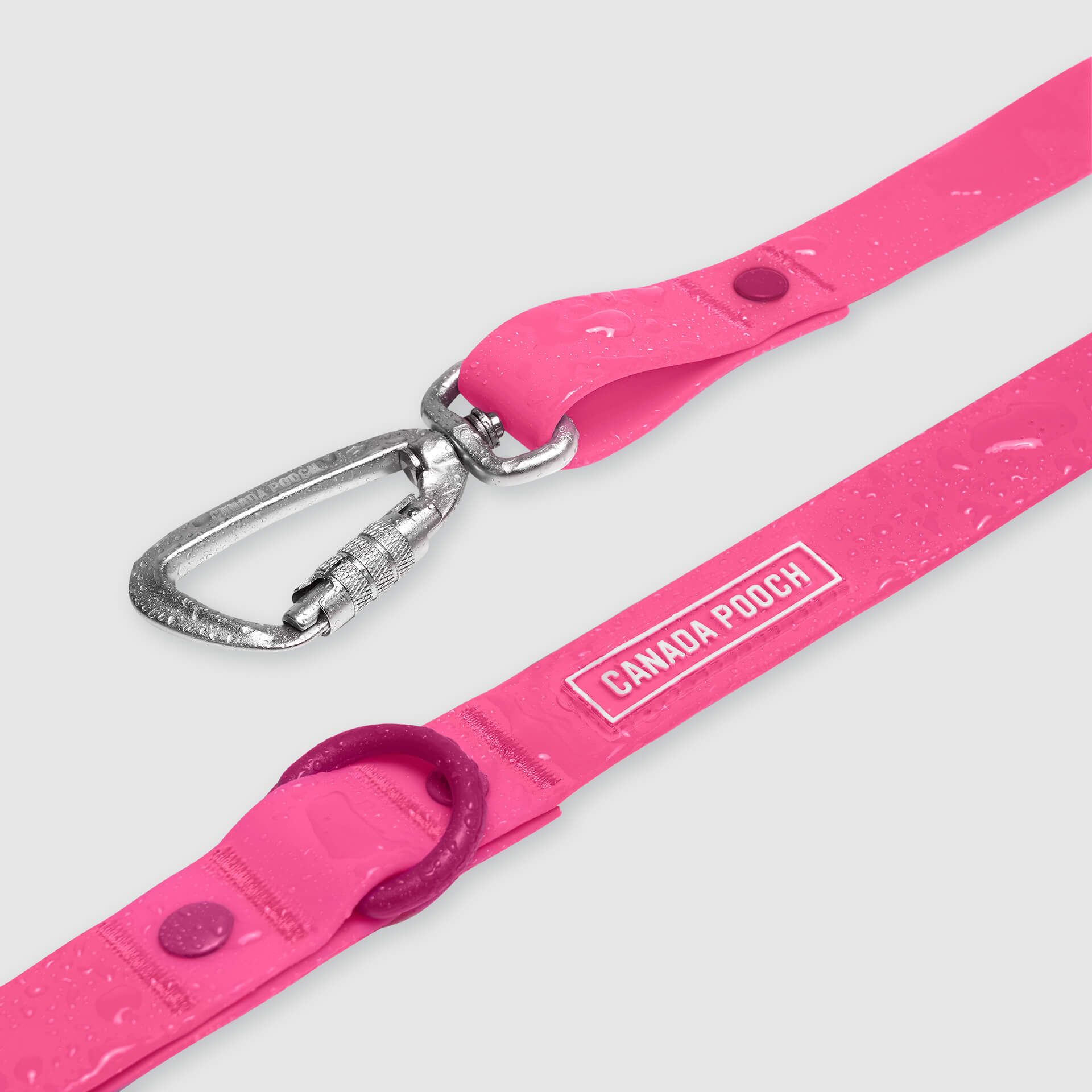 Waterproof Leash - ESFA