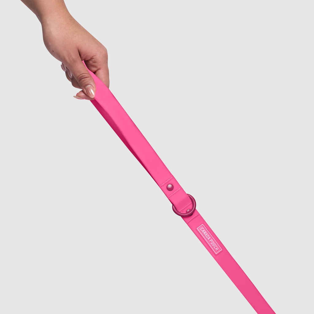 Waterproof Leash - ESFA