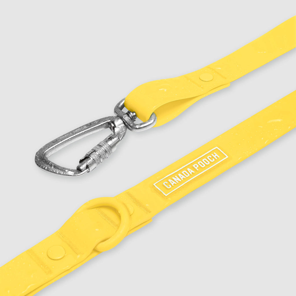 Waterproof Leash - ESFA