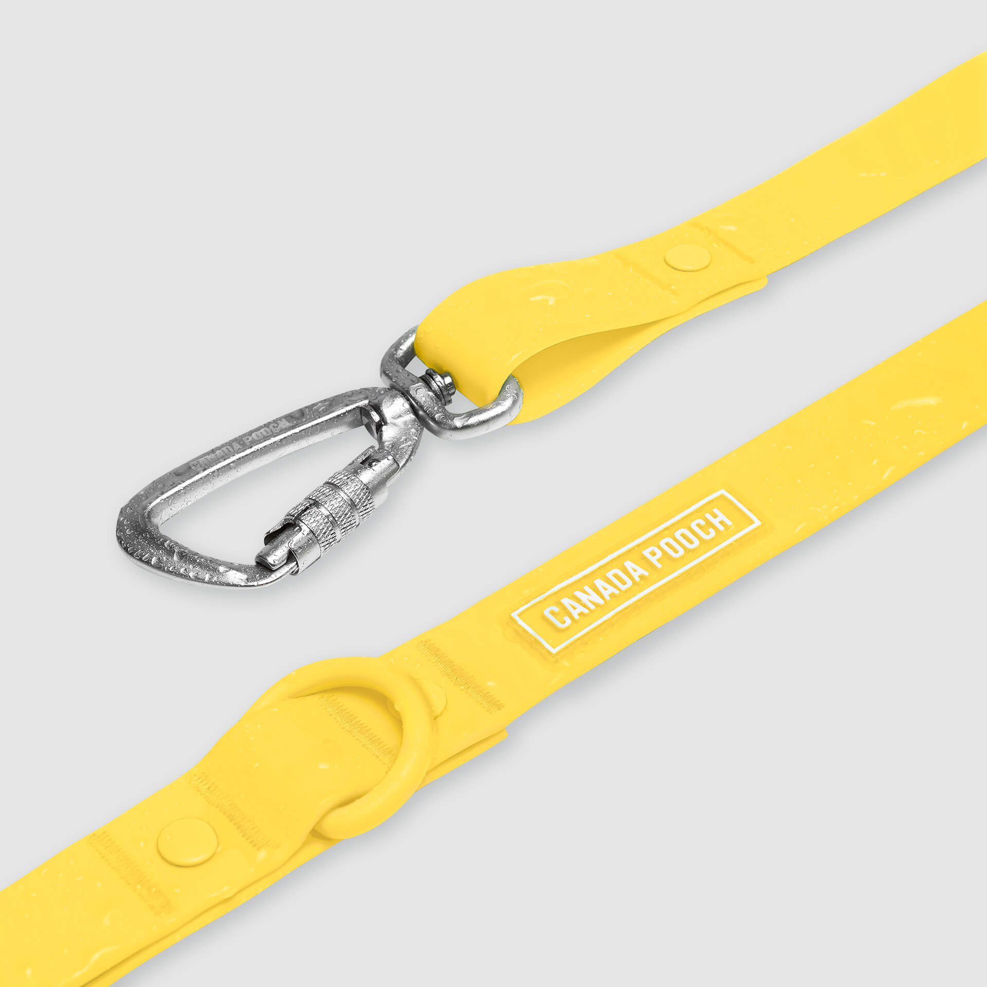 Waterproof Leash - ESFA
