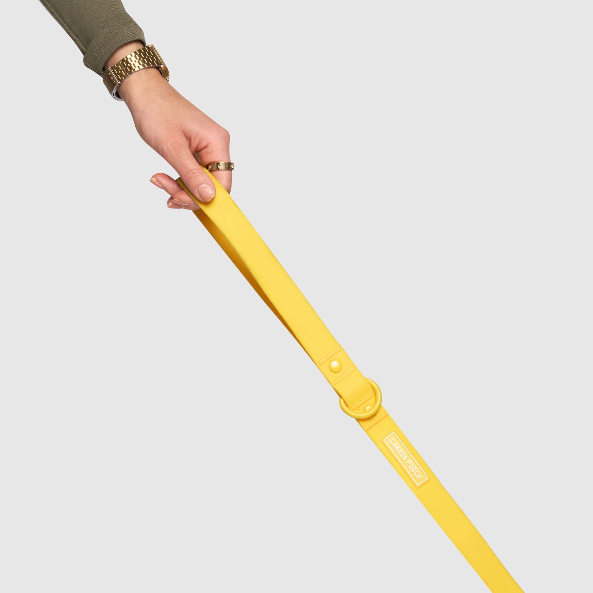 Waterproof Leash - ESFA