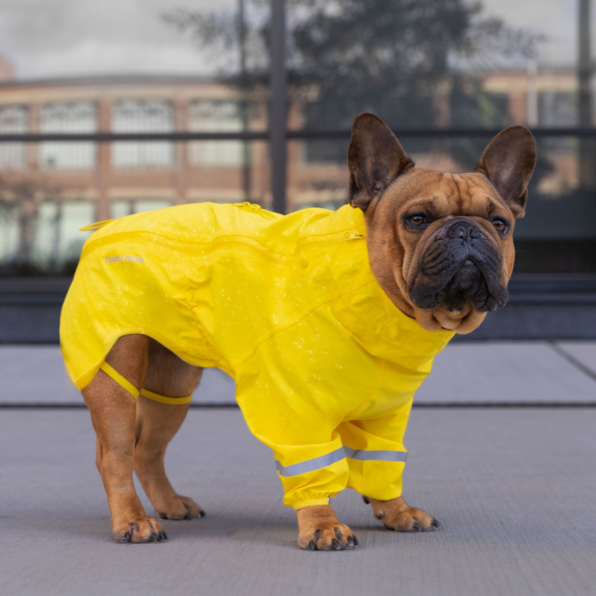 Waterproof Raincoat - N9FW