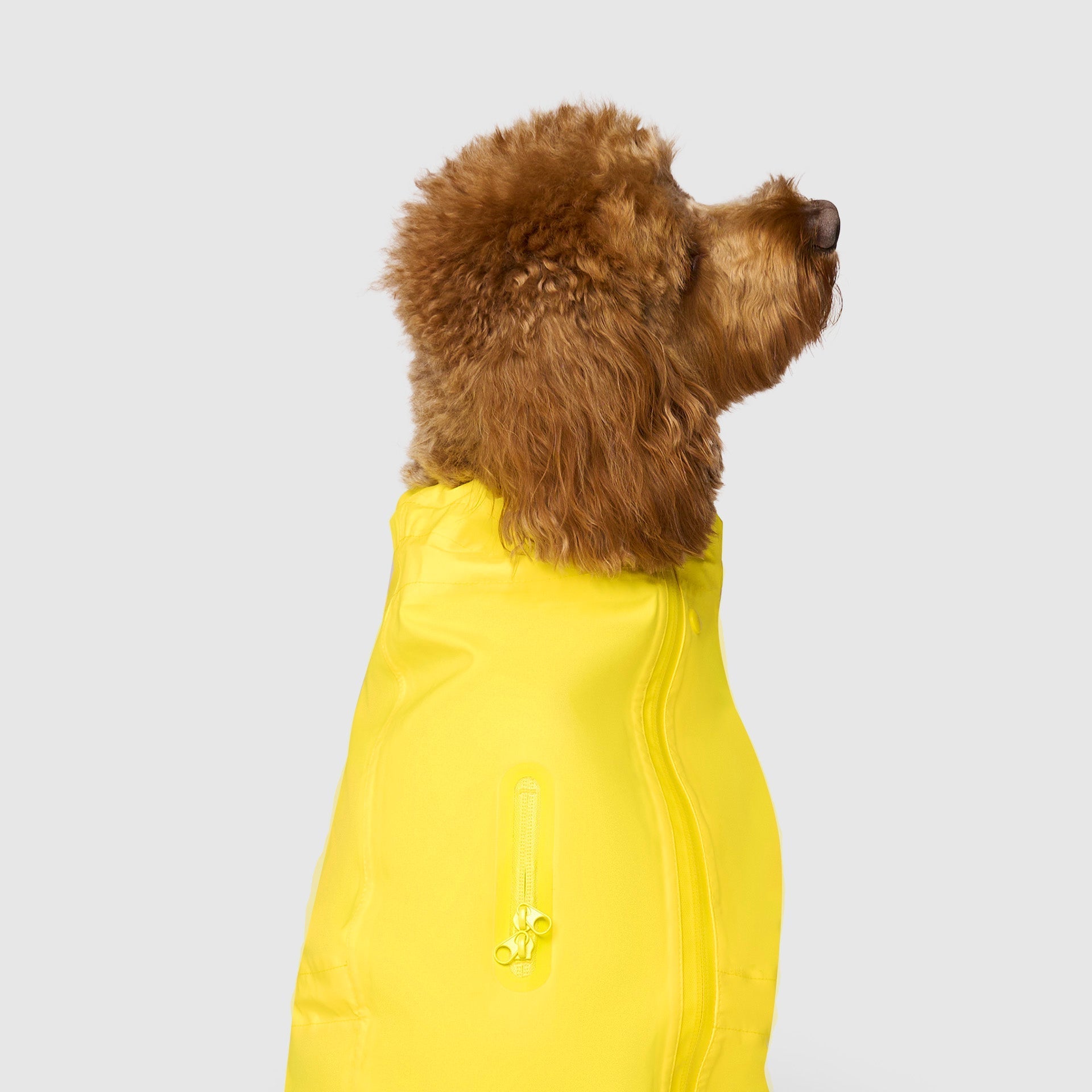 Waterproof Raincoat - N9FW