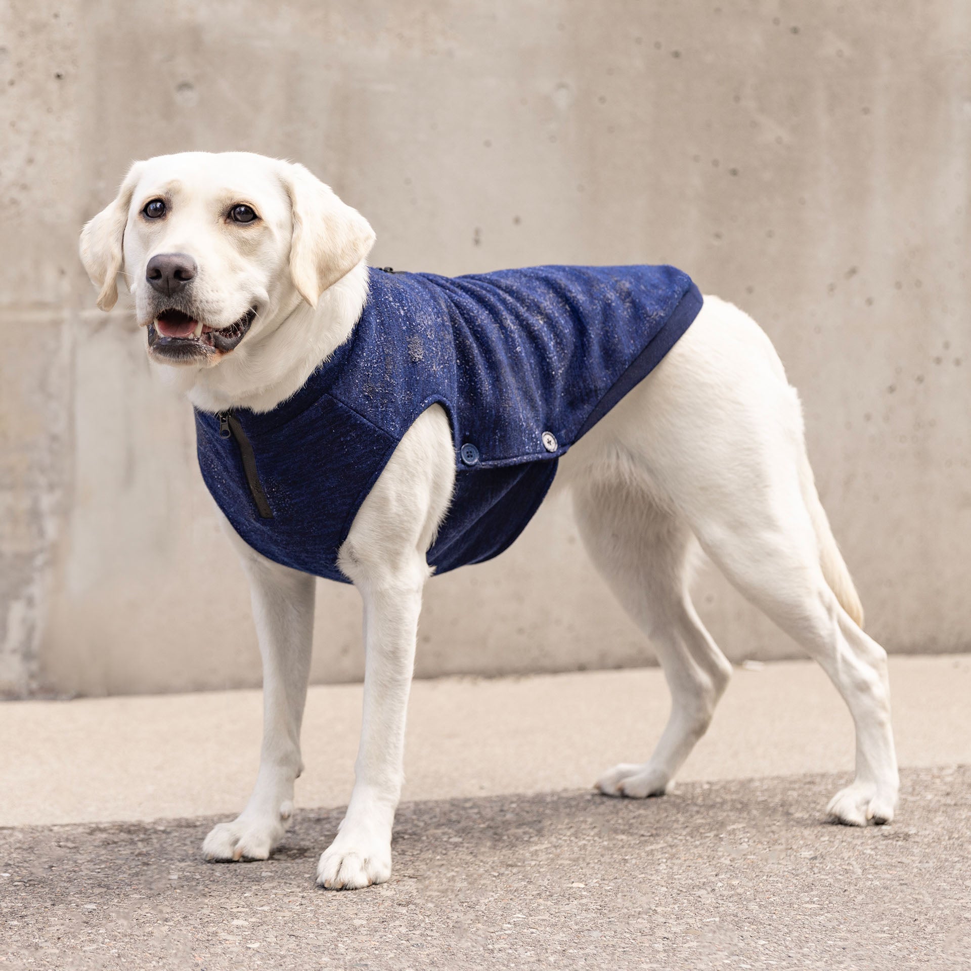 Waterproof Sweater - KDHA