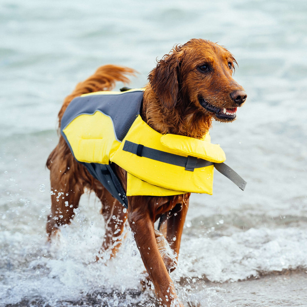 Wave Rider Life Jacket - DVGP