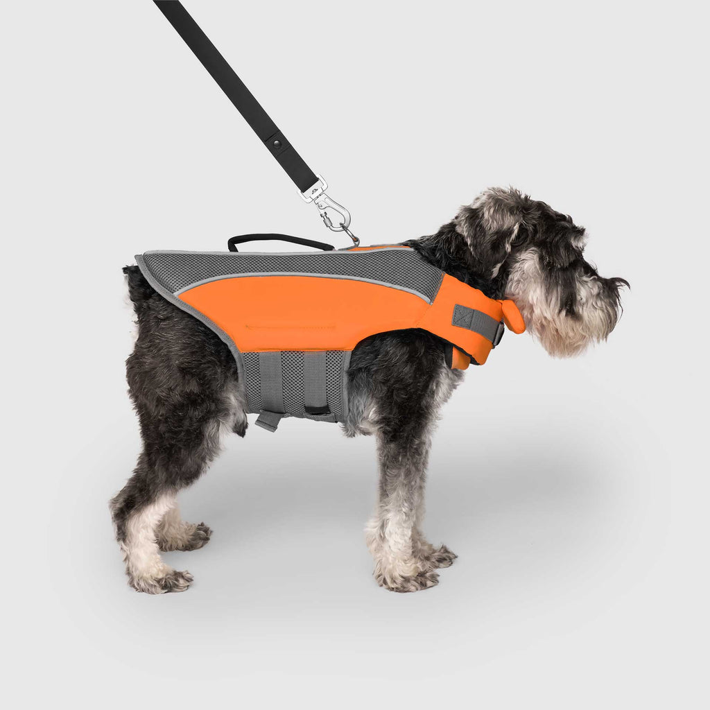 Wave Rider Life Jacket - DVGP