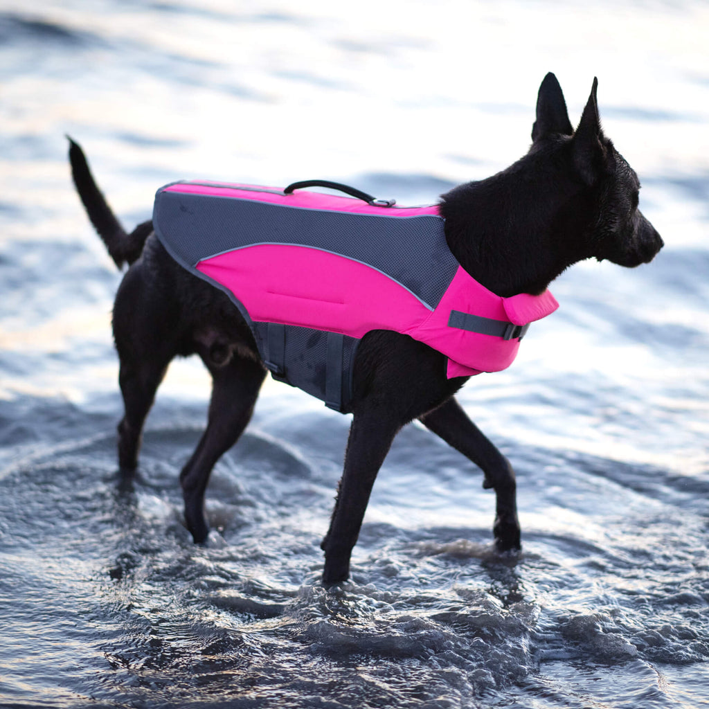 Wave Rider Life Jacket - DVGP
