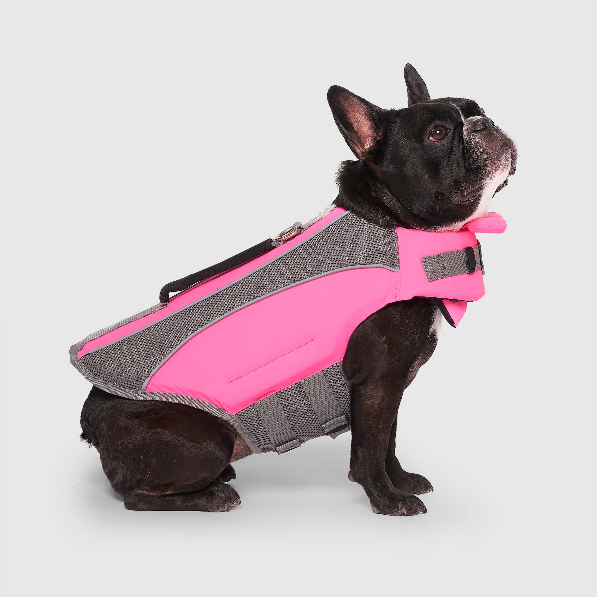 Wave Rider Life Jacket - DVGP