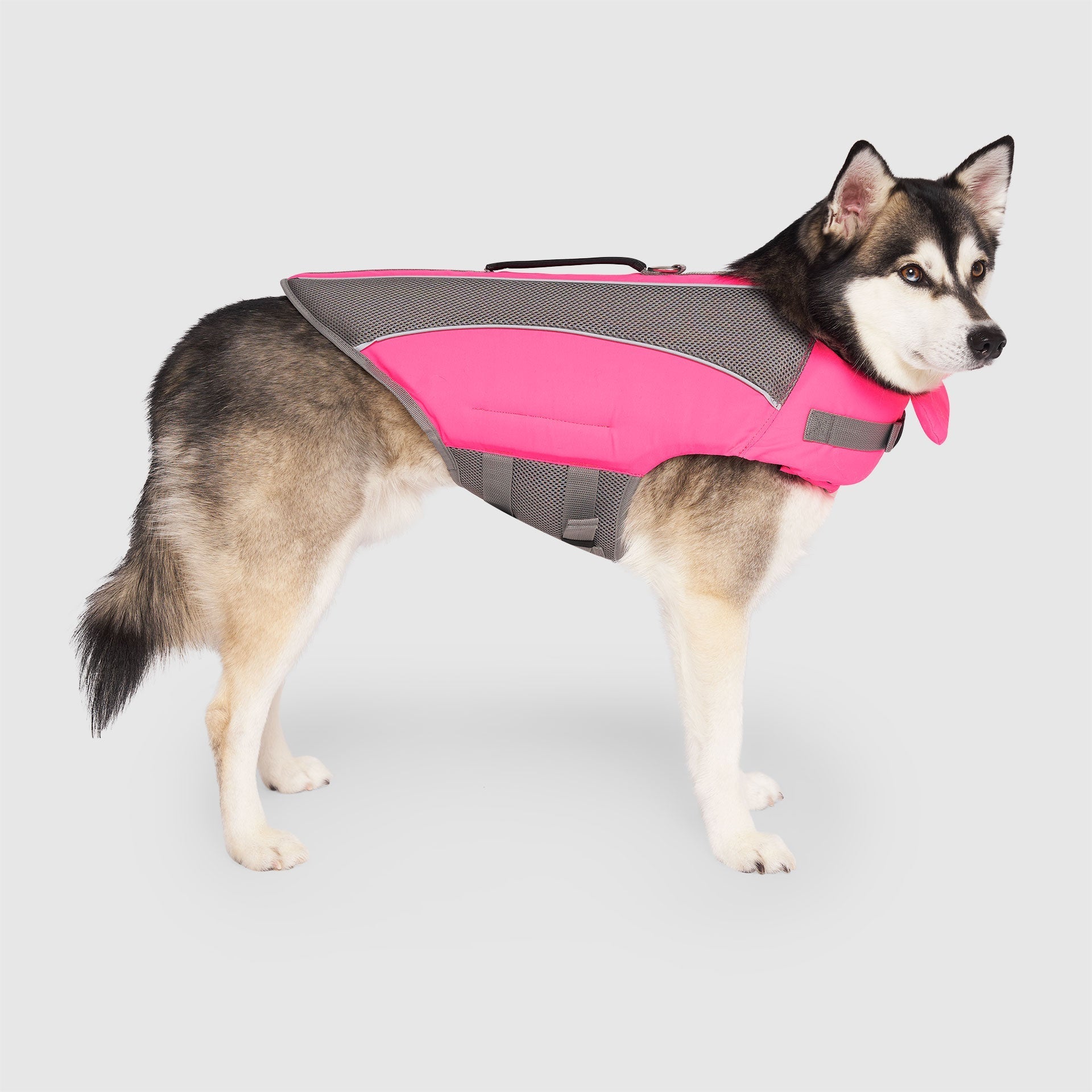 Wave Rider Life Jacket - DVGP