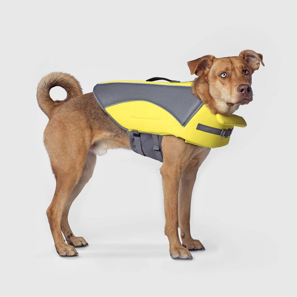 Wave Rider Life Jacket - DVGP