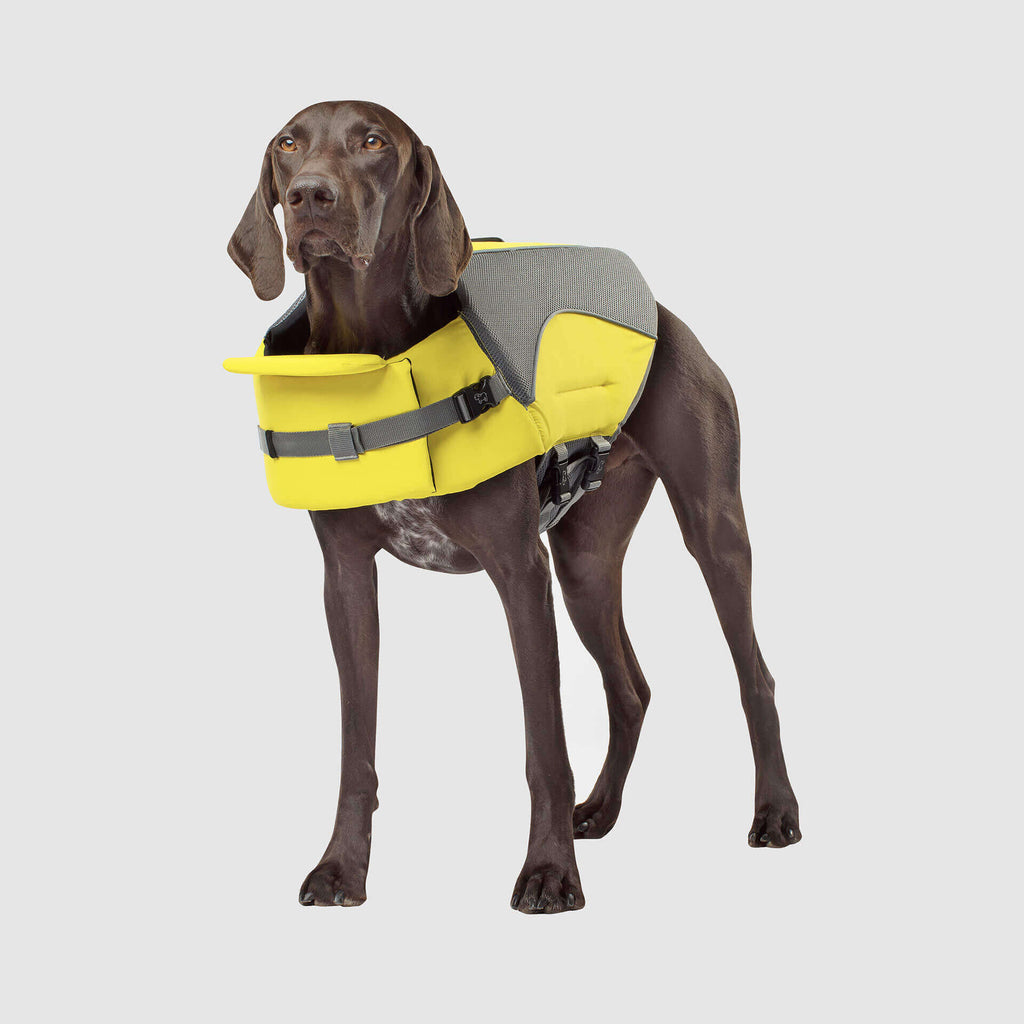 Wave Rider Life Jacket - DVGP