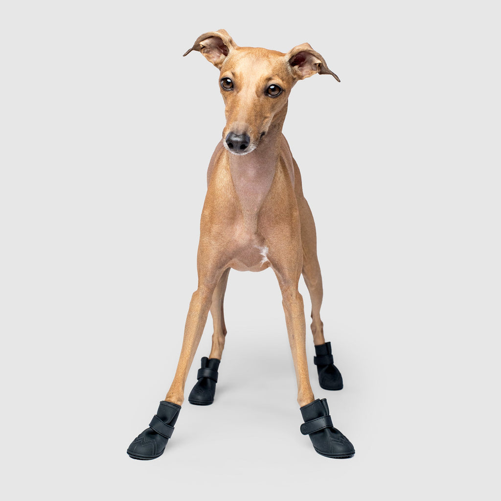 Unlined Wellies - Y2V2