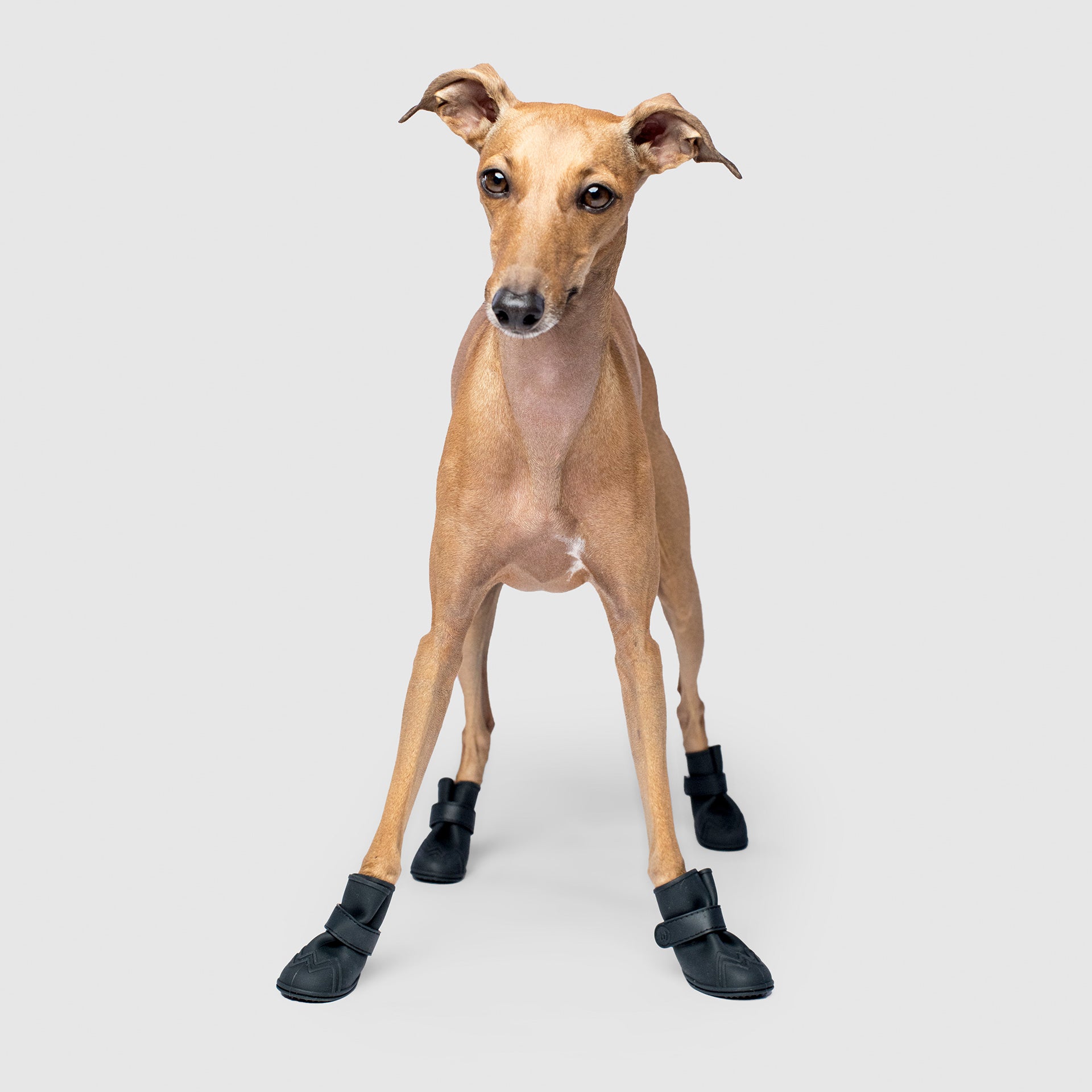 Unlined Wellies - Y2V2