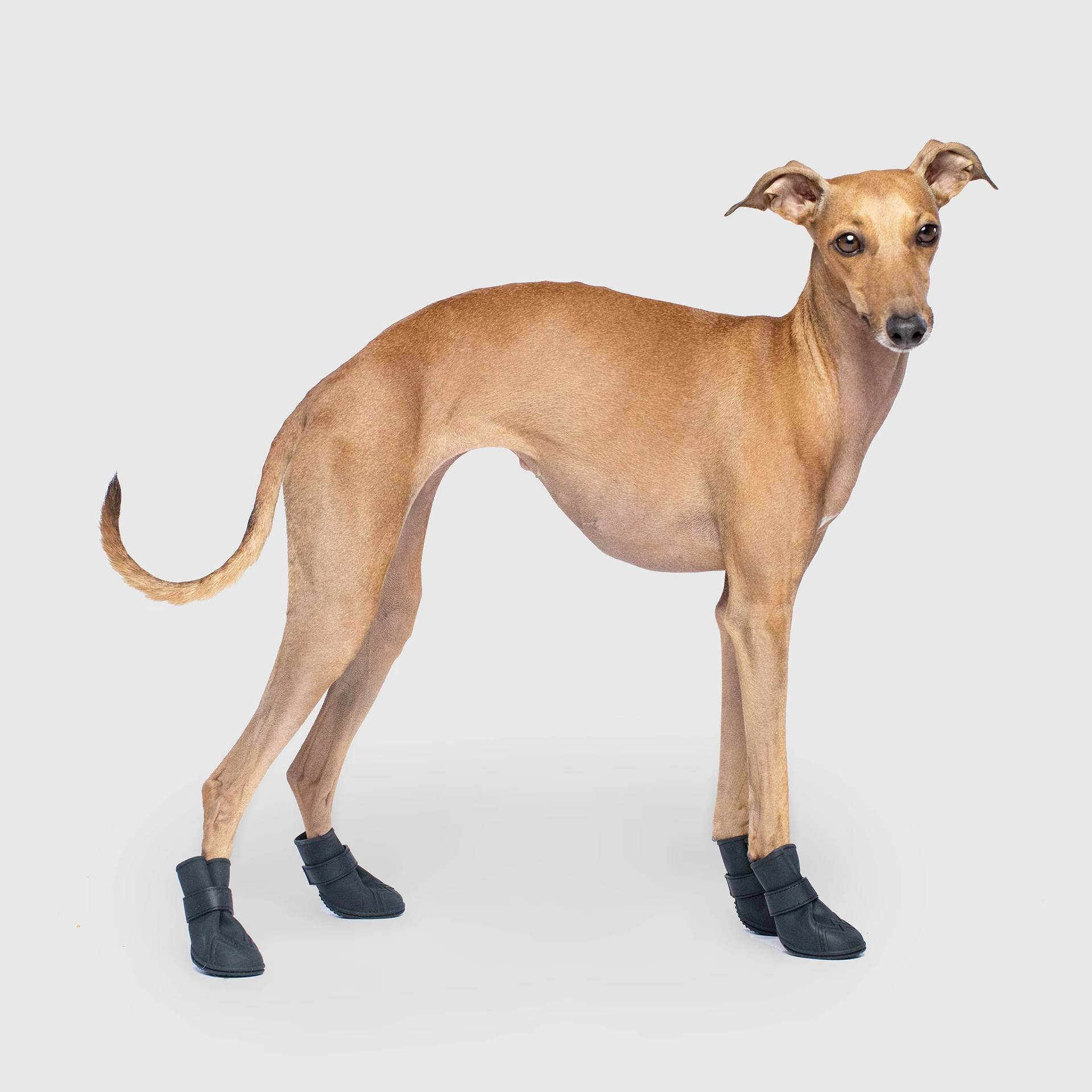 Unlined Wellies - Y2V2