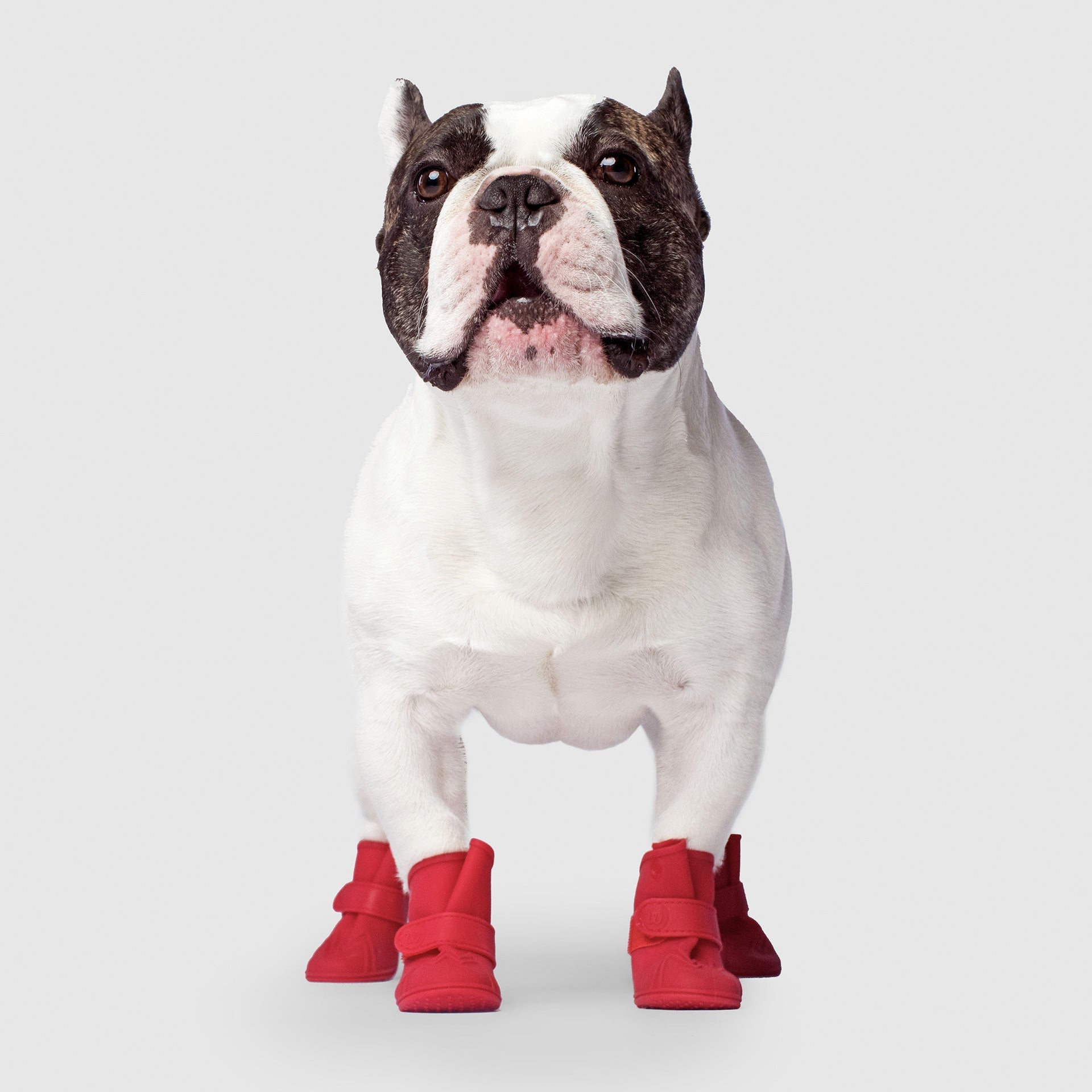 Unlined Wellies - Y2V2