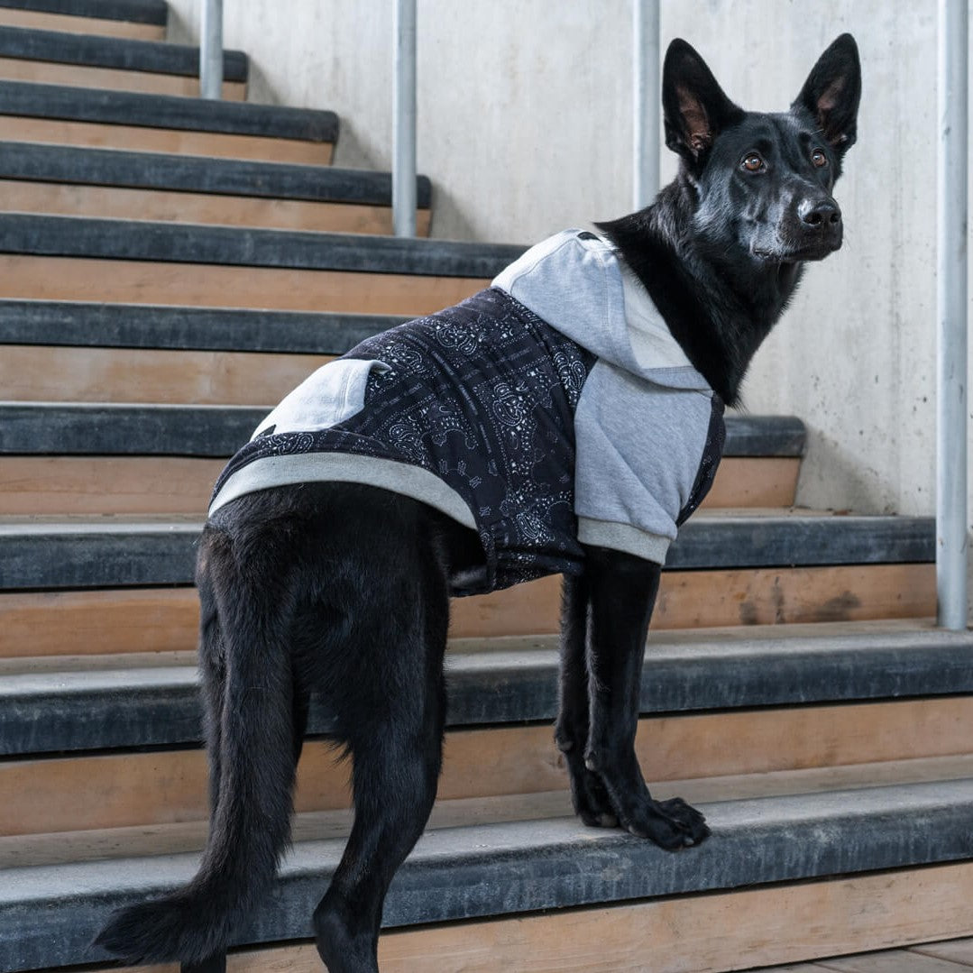 Whatever The Weather Hoodie - K8RQ