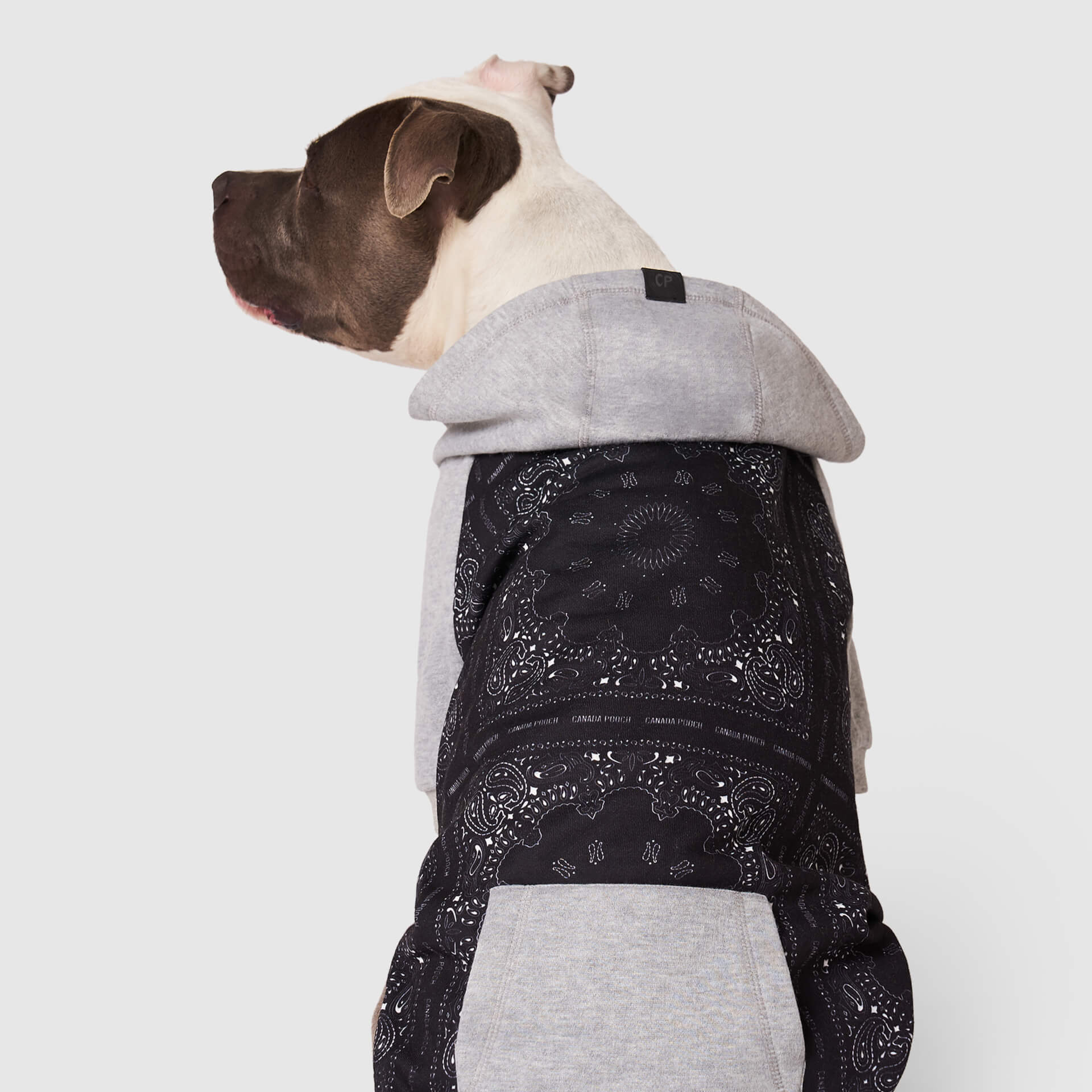 Whatever The Weather Hoodie - K8RQ