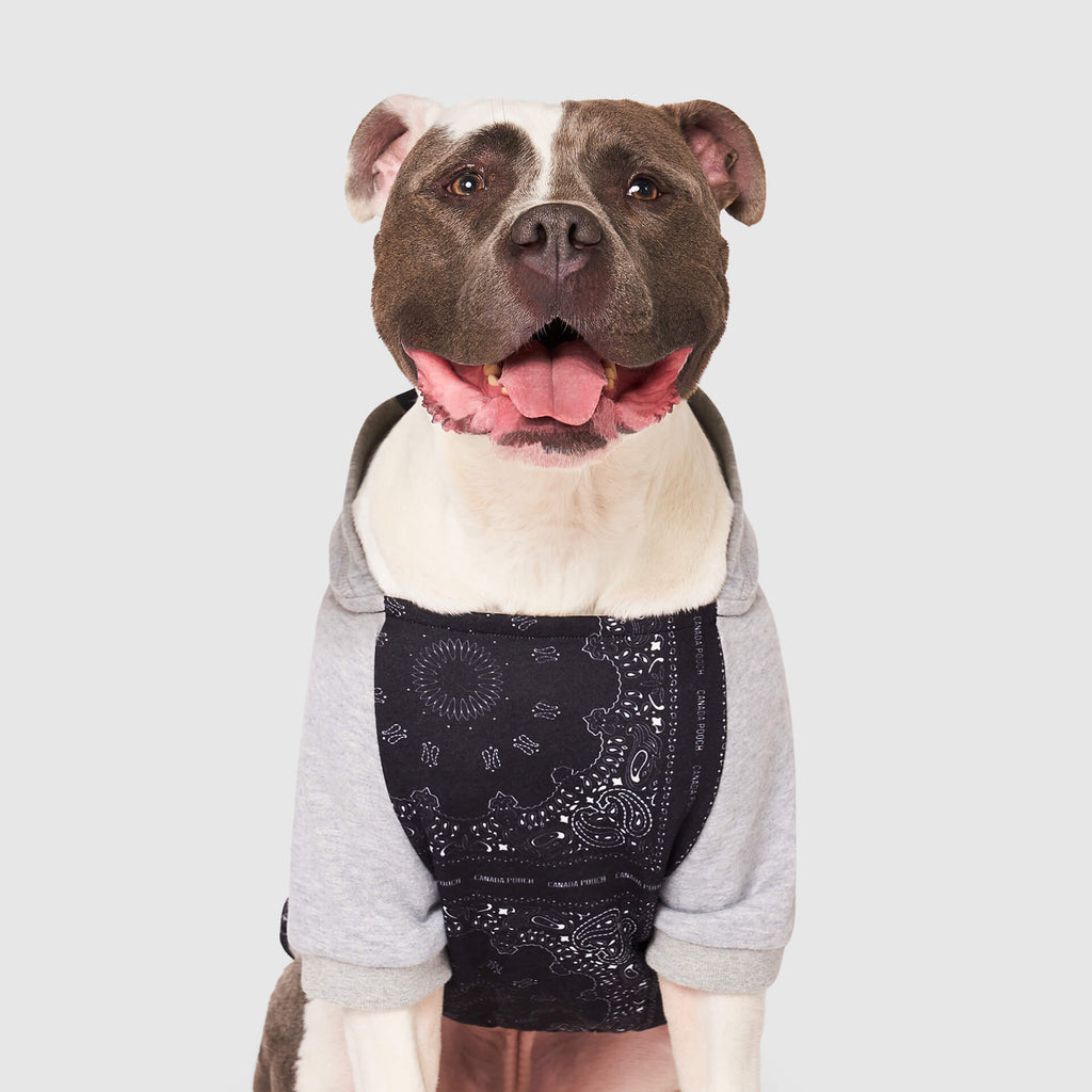Whatever The Weather Hoodie - K8RQ