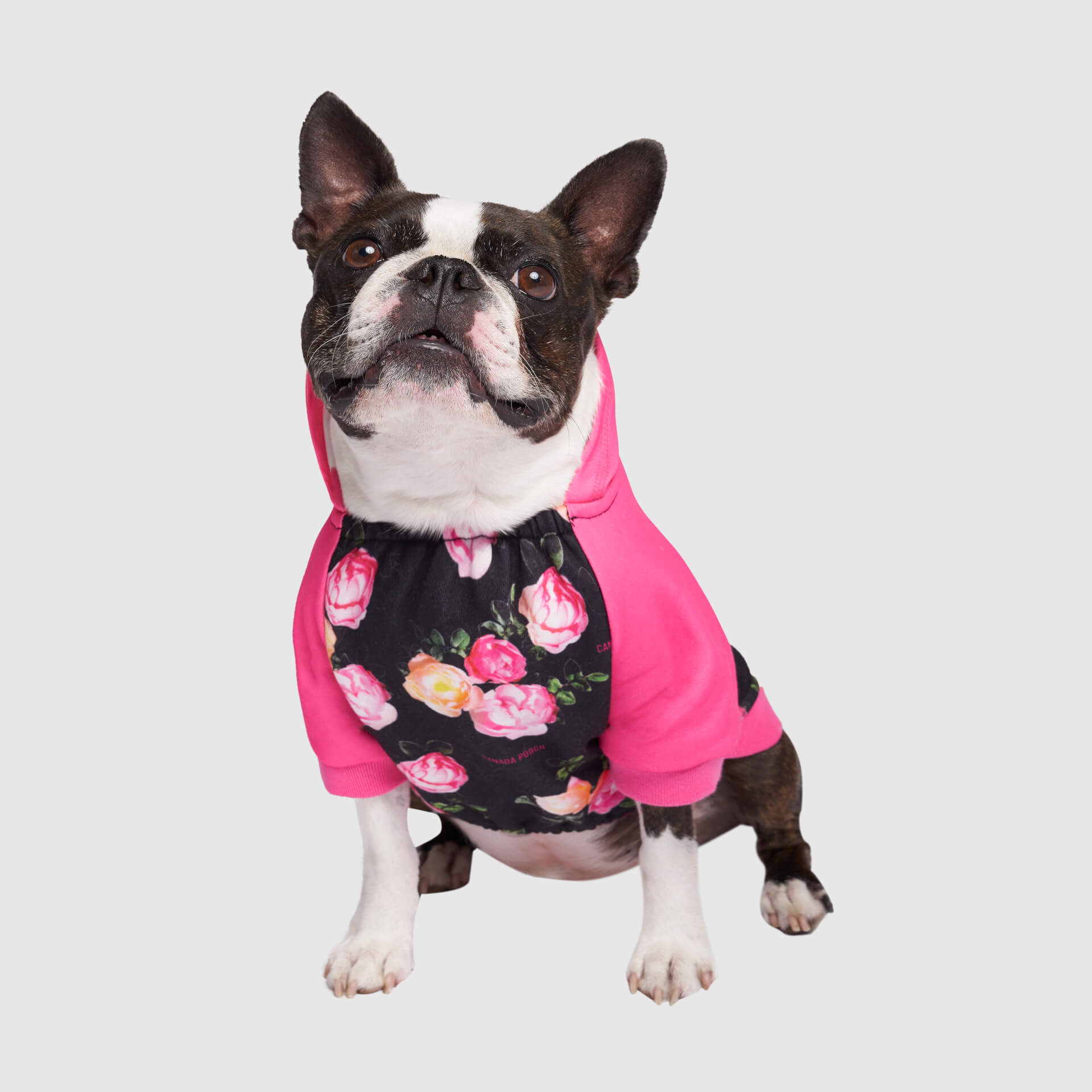 Whatever The Weather Hoodie - K8RQ