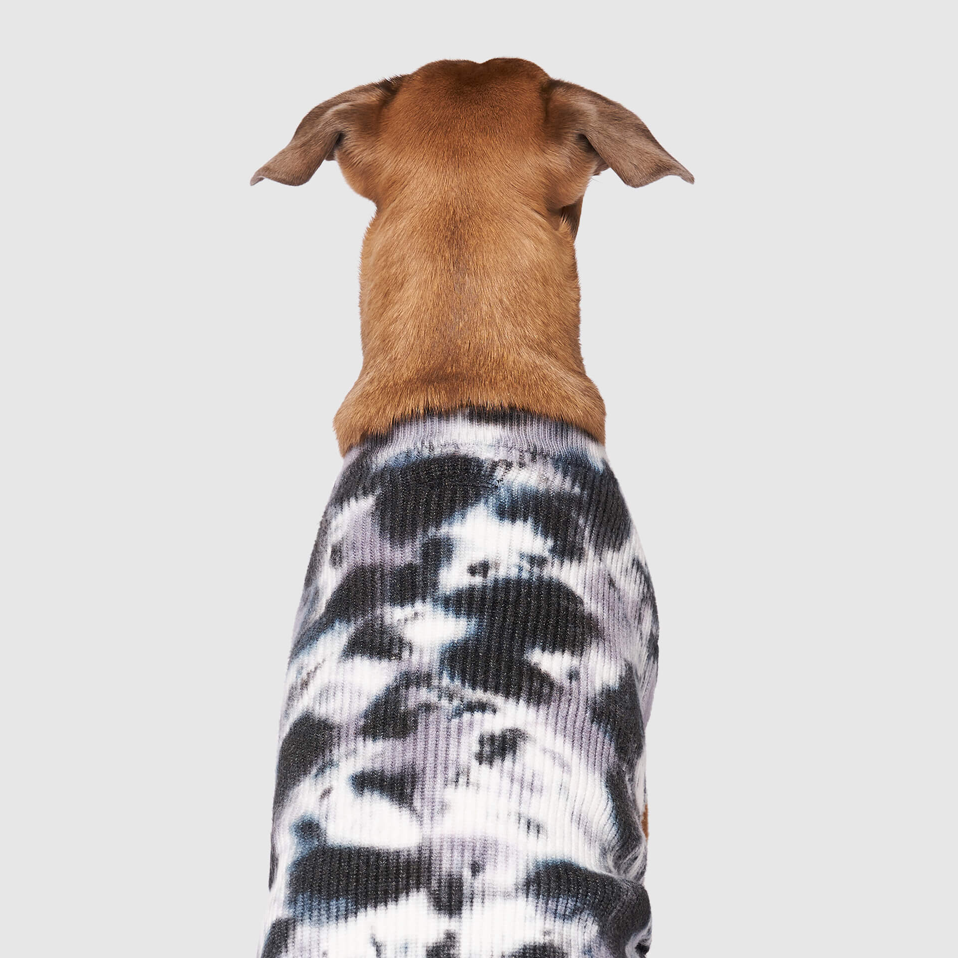 Wild Side Sweater - Z033