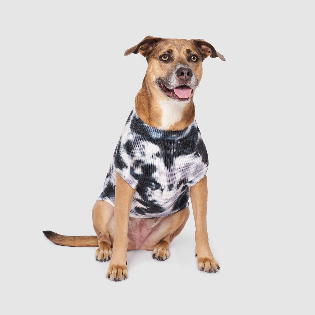 Wild Side Sweater - Z033