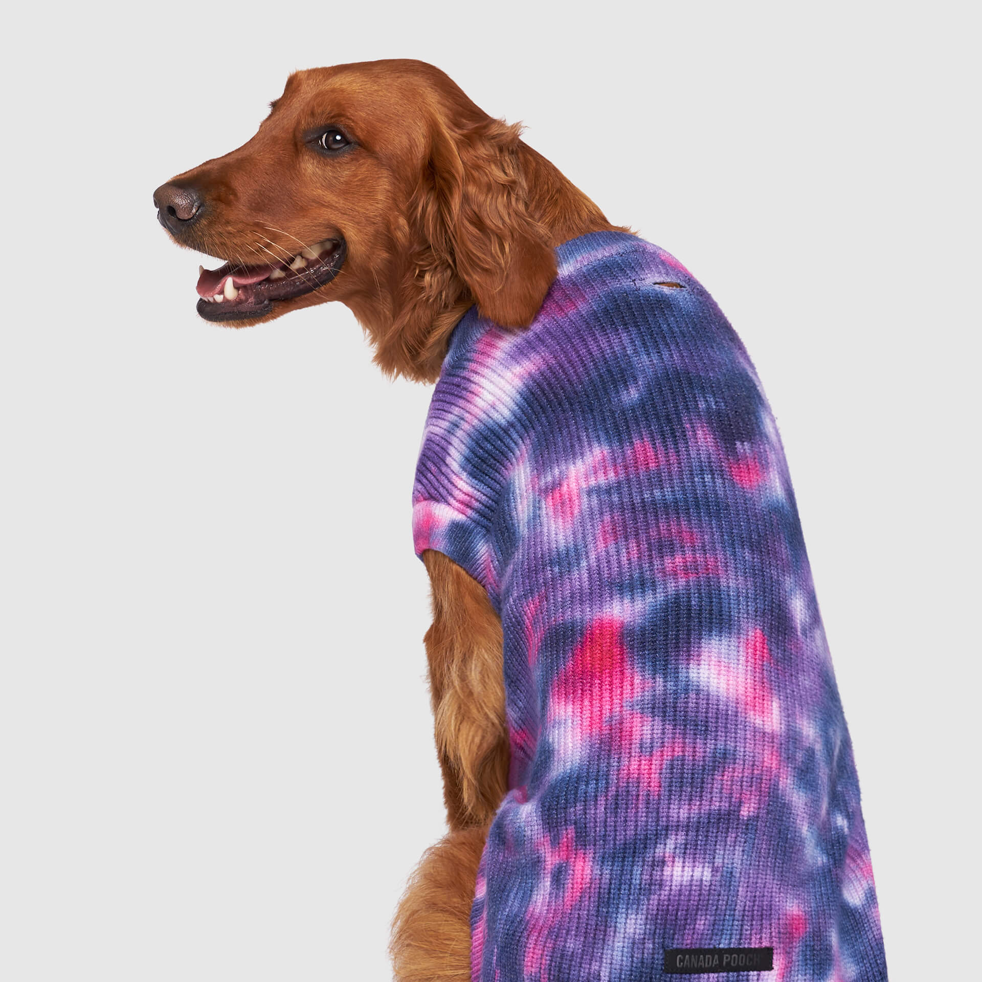 Wild Side Sweater - Z033